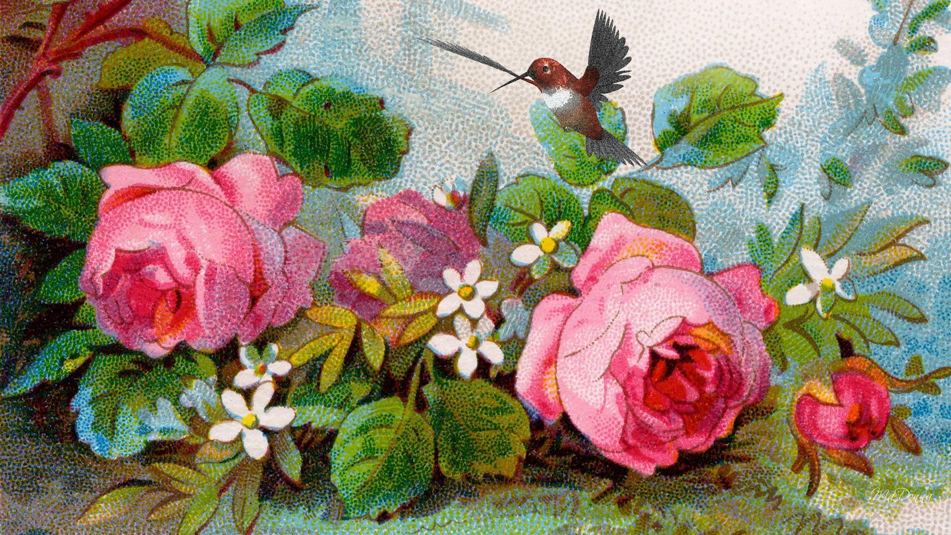 paint, cabbage roses, old fashion, painting, roses, 1080P, sunny, flowers, bird, summer, fleu, flower, sunshine, vintage, HD Wallpaper