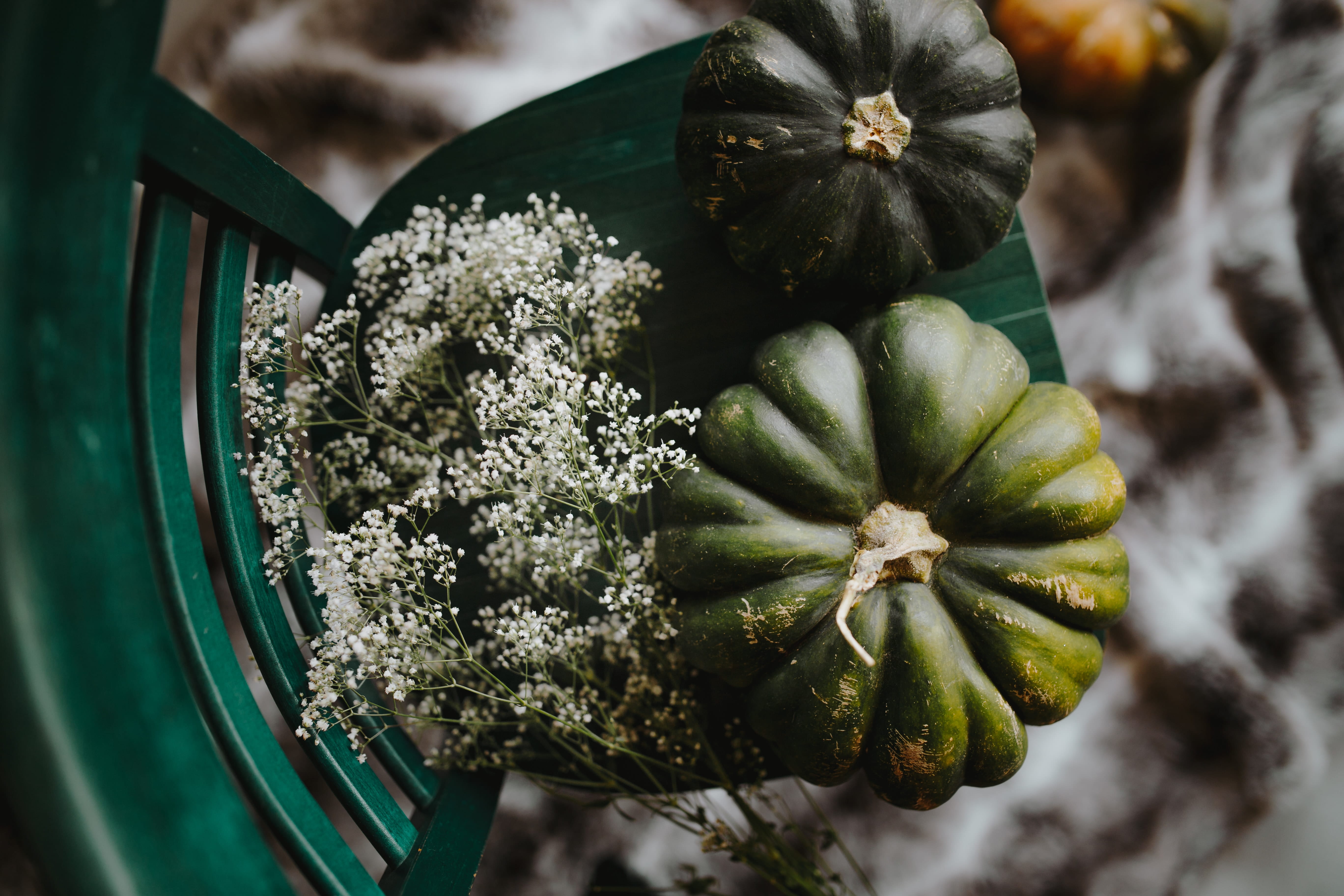 vegetable, close-up, 5K, no people, directly above, pumpkin, freshness, food, indoors, top, green, nature, flat lay, autumn, flower, green color, plant, HD Wallpaper