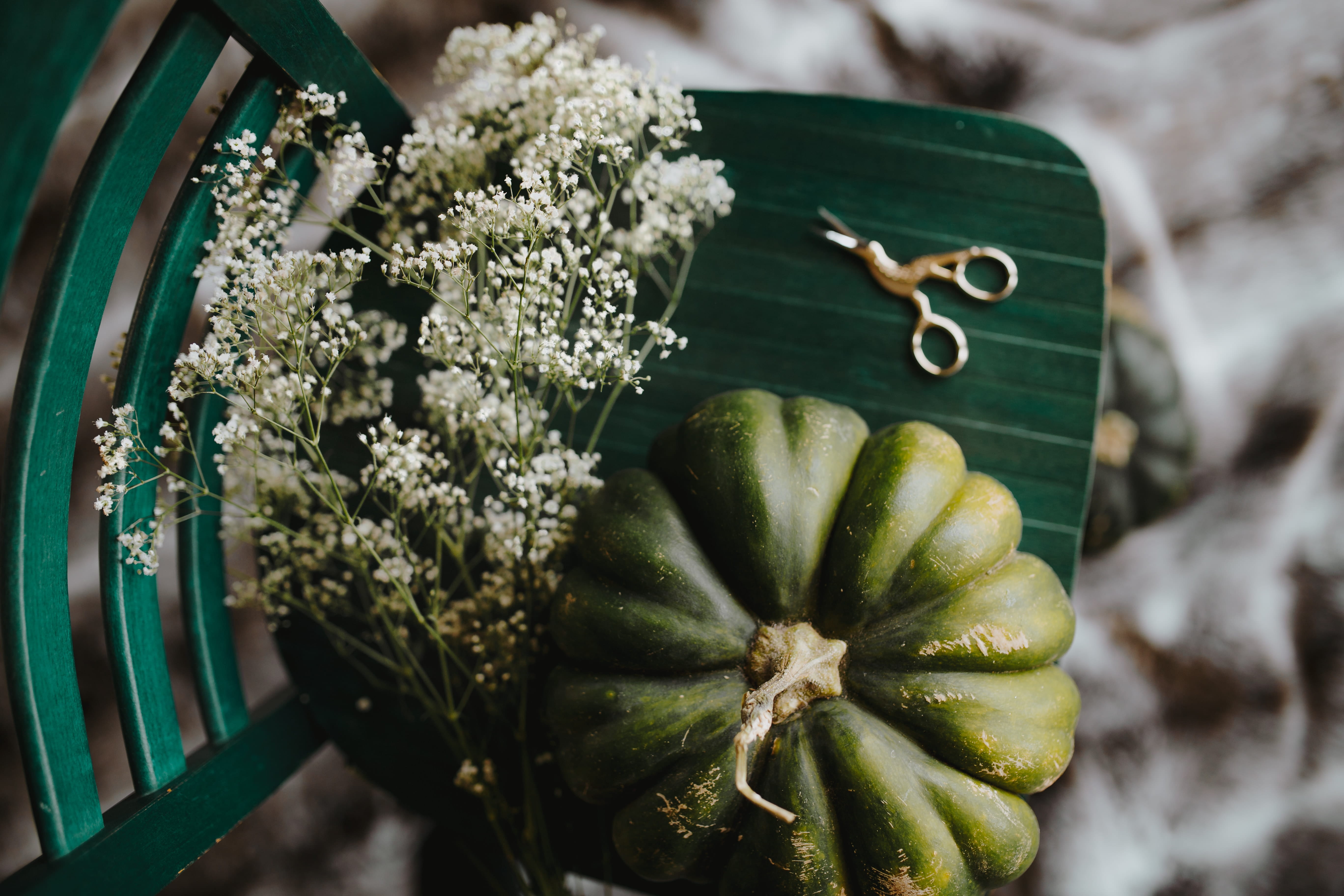 high angle view, freshness, food and drink, pumpkin, food, no people, flat lay, flowering plant, day, green, focus on foreground, plant, plant part, top, HD Wallpaper