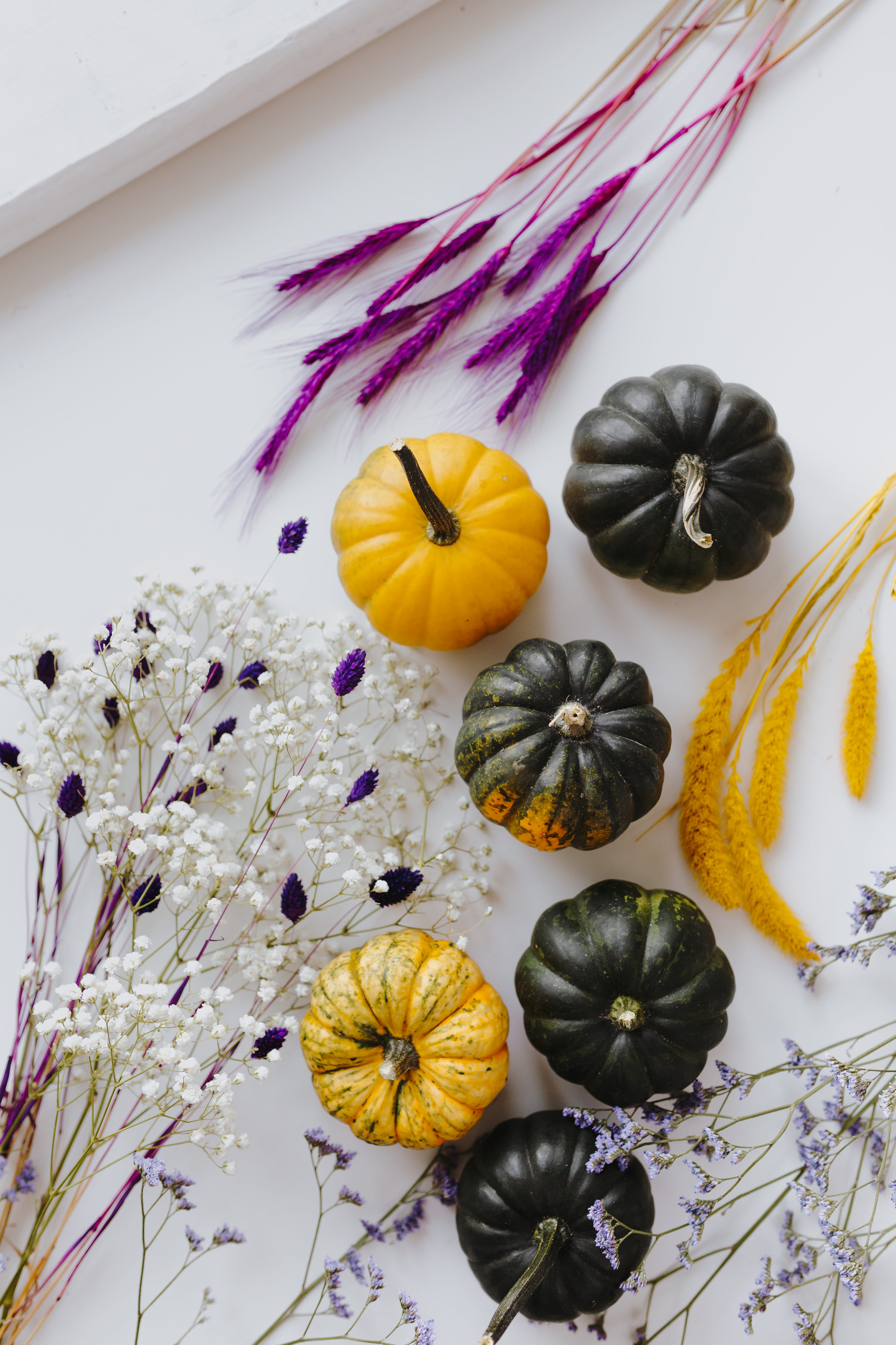 indoors, orange color, background, vegetarian food, white, fall, small, variation, high angle view, flowering plant, multi colored, yellow, choice, pumpkin, Phone HD Wallpaper