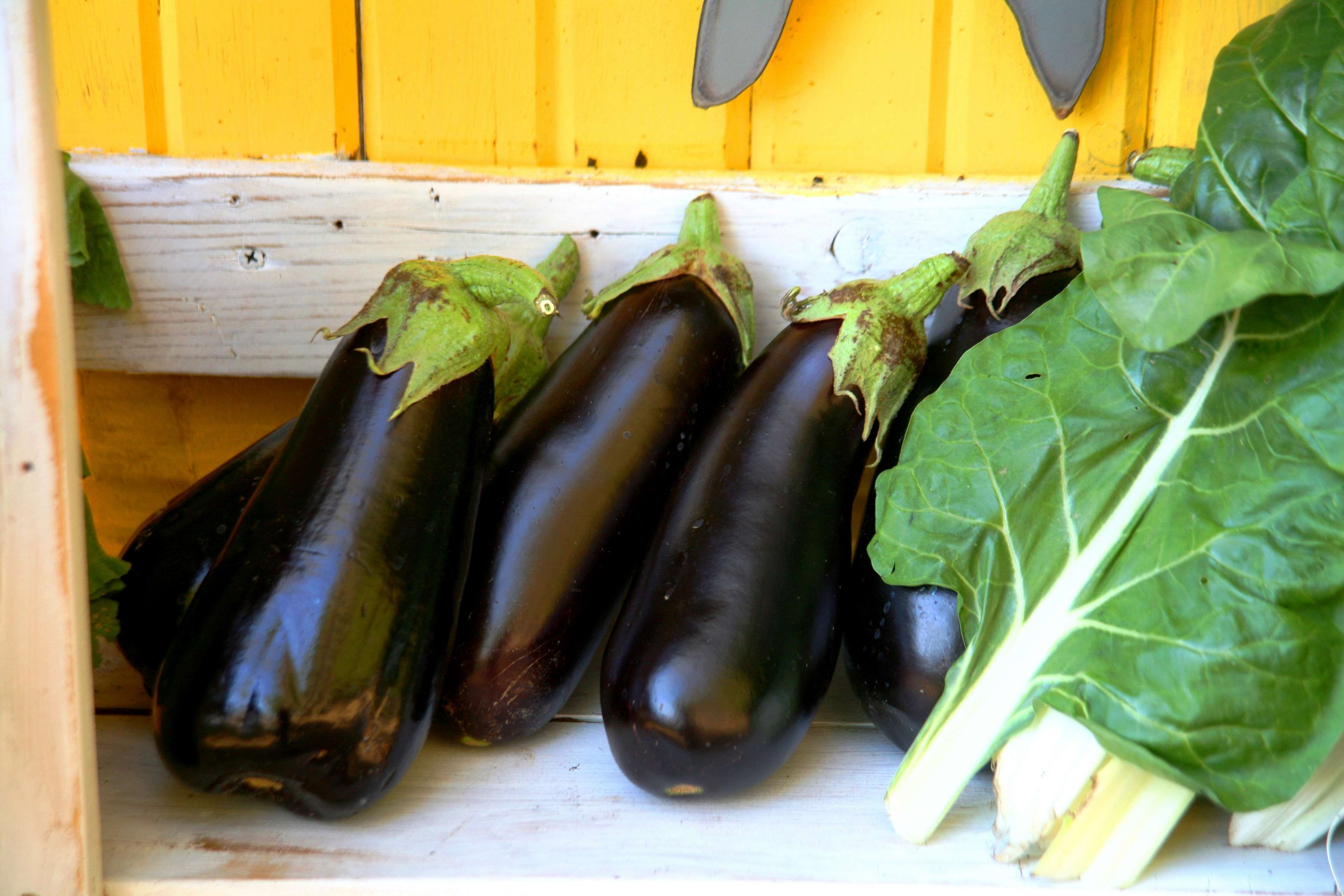 healthy eating, raw food, black color, vegetarian food, organic, wellbeing, freshness, box, leaf, day, vegetable, aubergines, no people, eggplant, indoors, HD Wallpaper