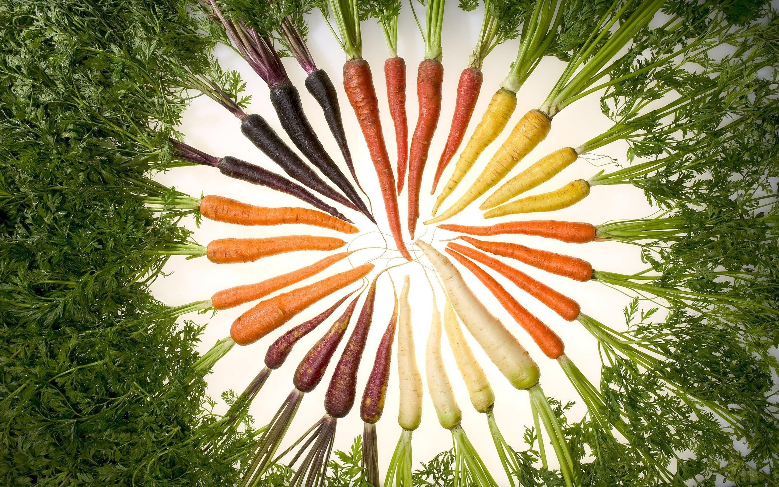 carrot, health, food, nature and landscapes, vegetable, 2K, HD Wallpaper