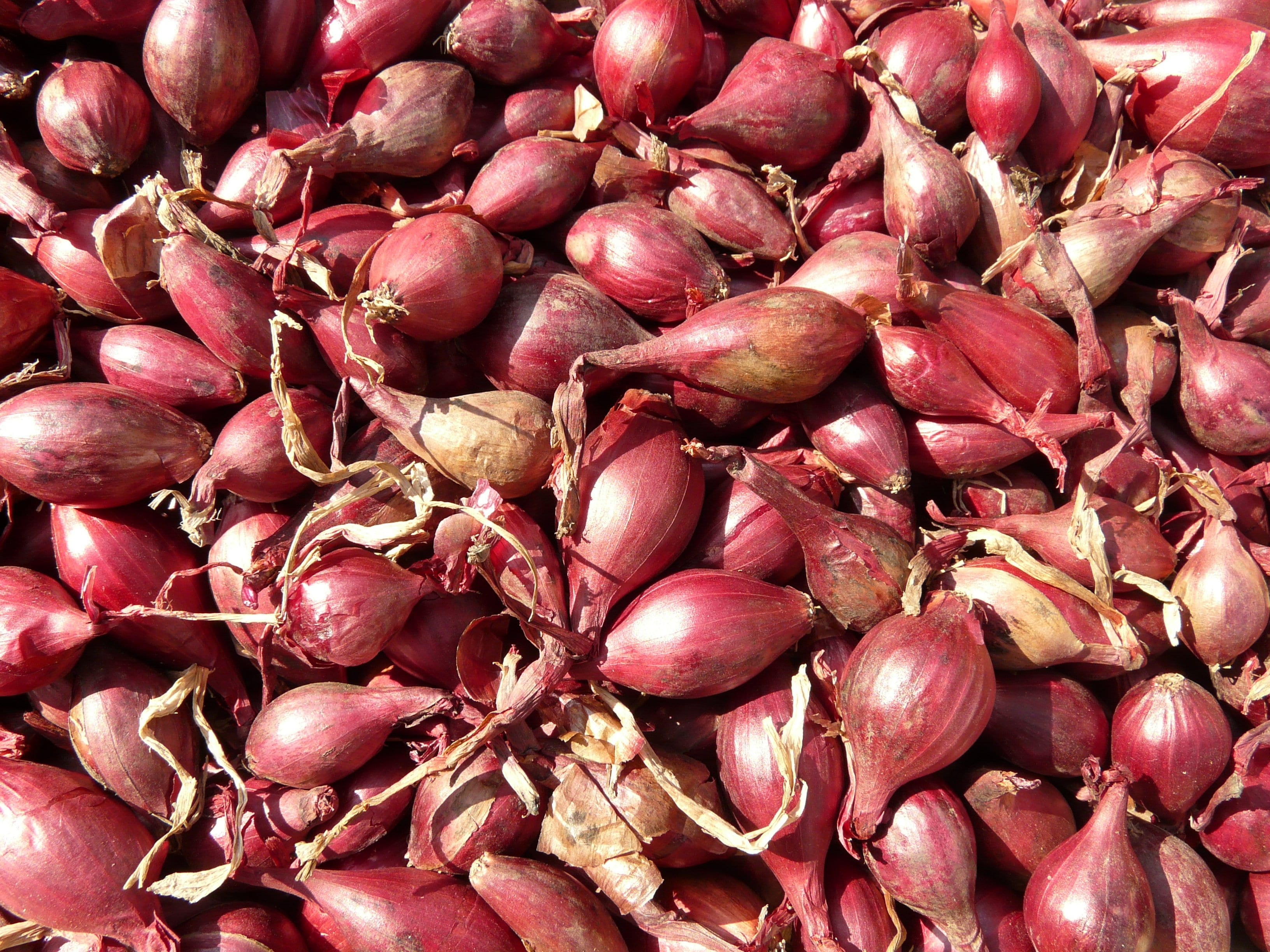 onion, no people, for sale, full frame, close-up, close, healthy, market, day, eat, large group of objects, red shallots, vitamins, retail, raw food, backgrounds, HD Wallpaper