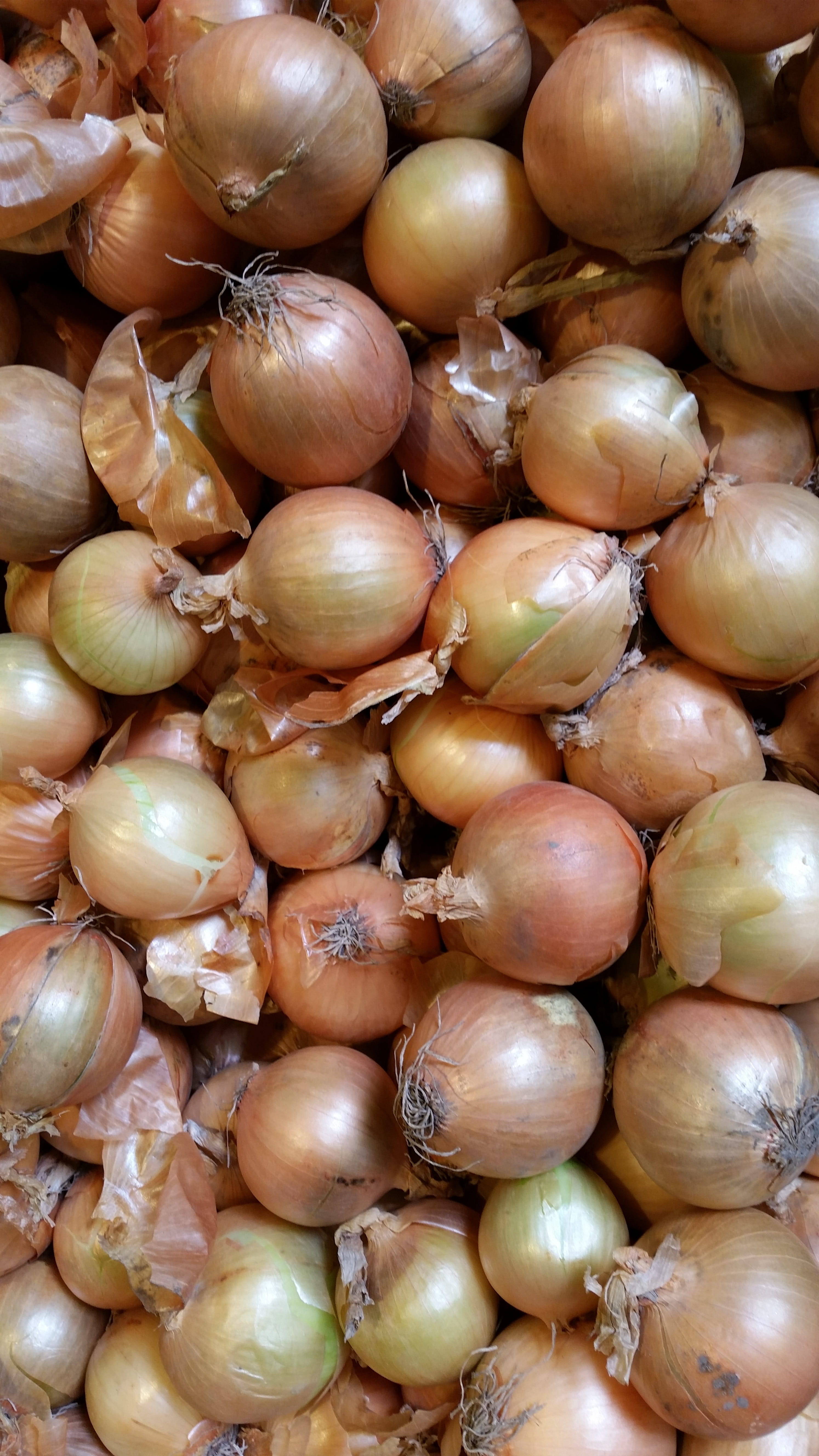 shallot, market stall, backgrounds, vegetable, nature, onion, no people, wellbeing, full frame, vegetable onion, consumerism, food and drink, still life, Phone HD Wallpaper