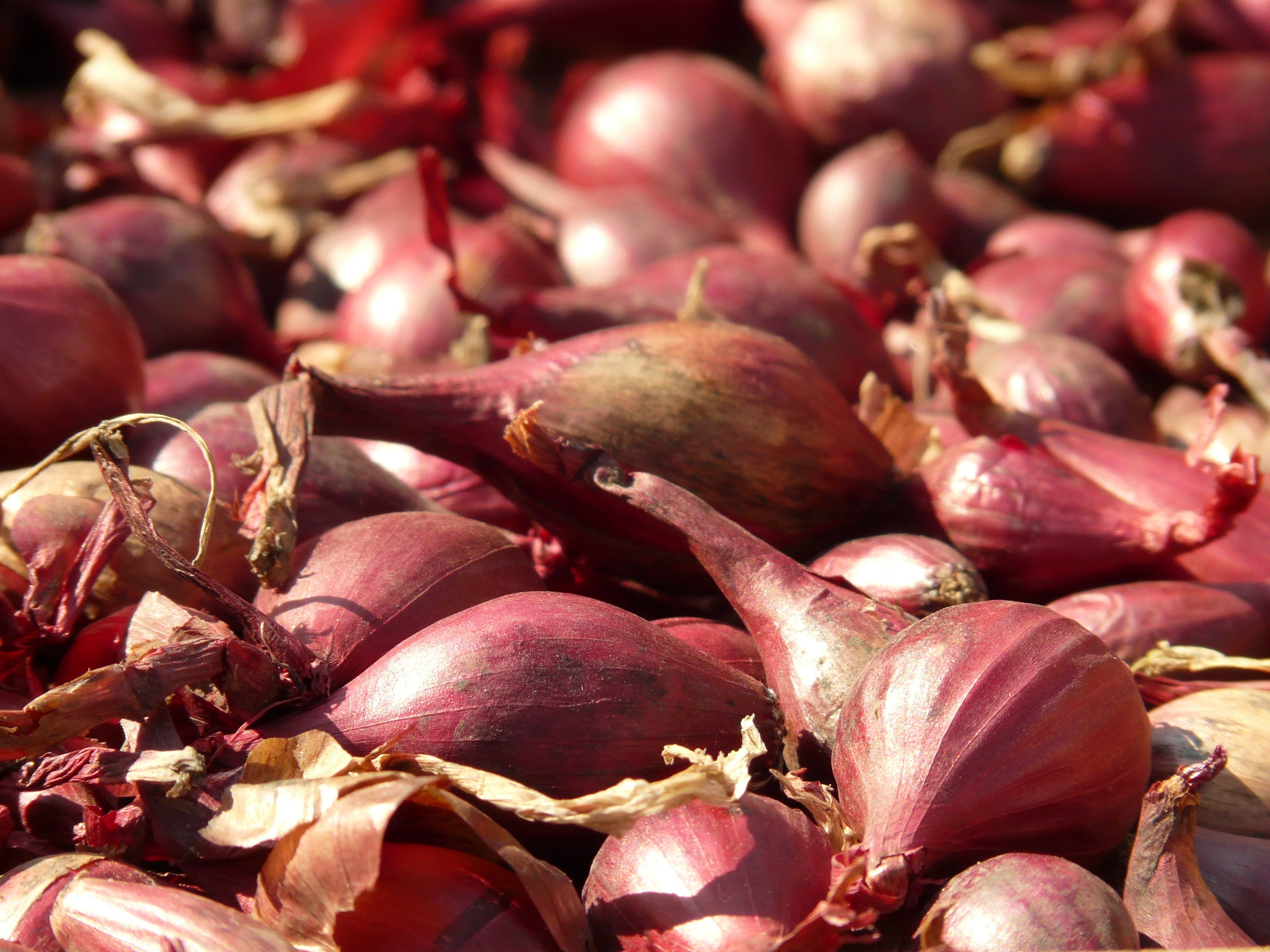 close-up, sharp, close, raw food, healthy eating, backgrounds, purple, large group of objects, macro, vitamins, day, for sale, vegetable, eat, wellbeing, HD Wallpaper