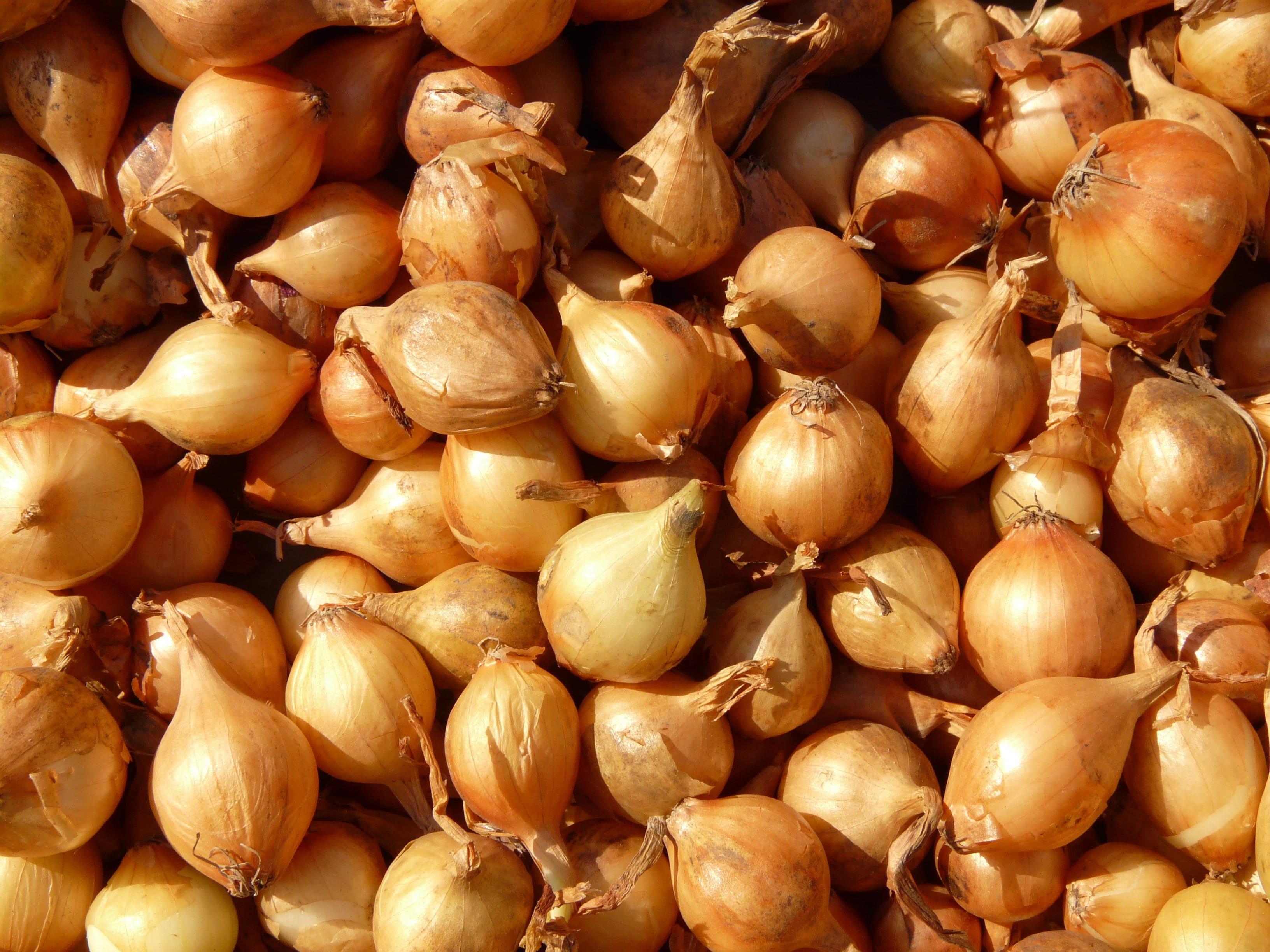 vegetable, ingredient, 2K, food and drink, macro, large group of objects, no people, close-up, shallot, wellbeing, freshness, abundance, market, vitamins, HD Wallpaper