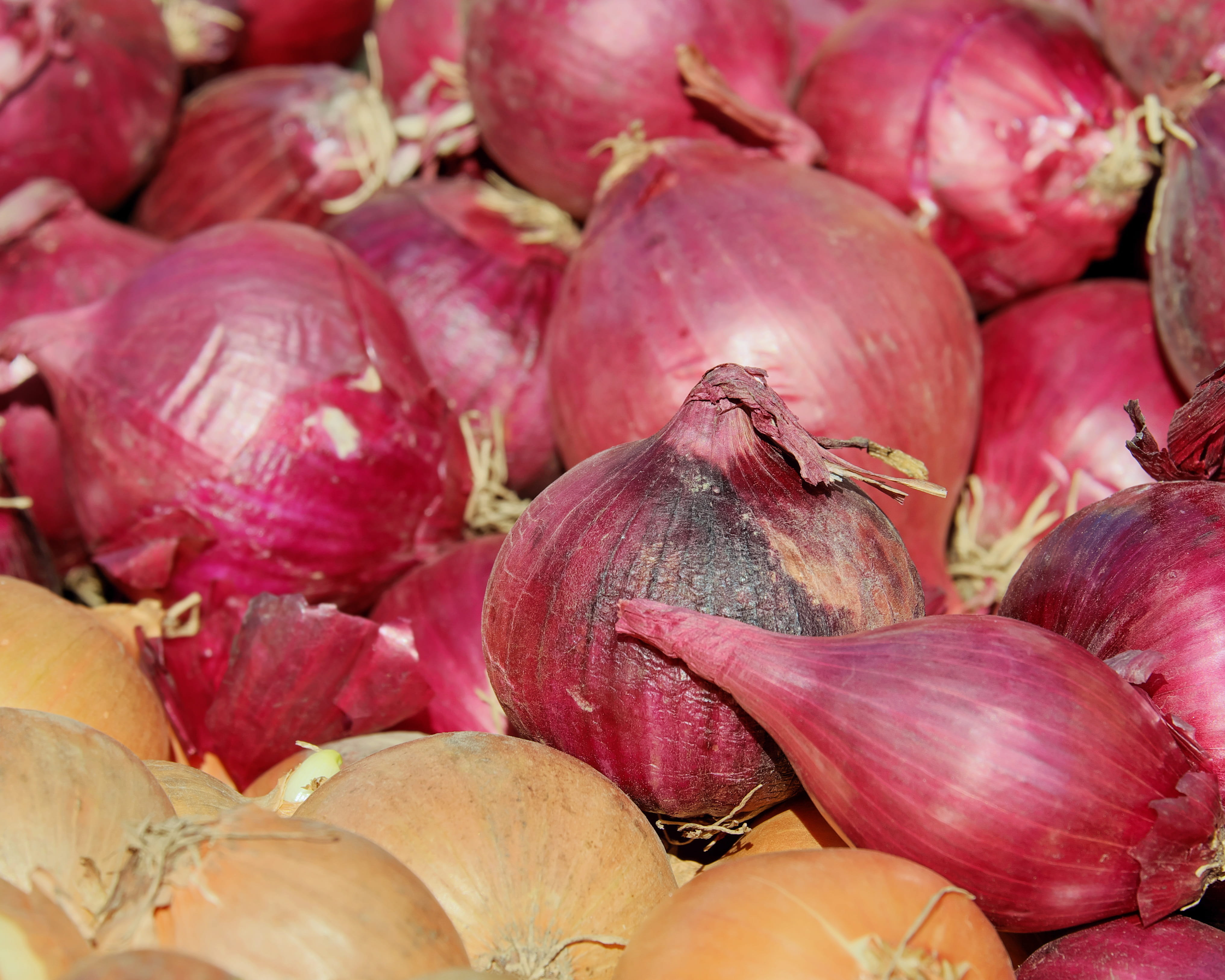 backgrounds, market stall, business, vegetable, sharp, freshness, vegetarian food, for sale, large group of objects, red, still life, onion, wellbeing, HD Wallpaper
