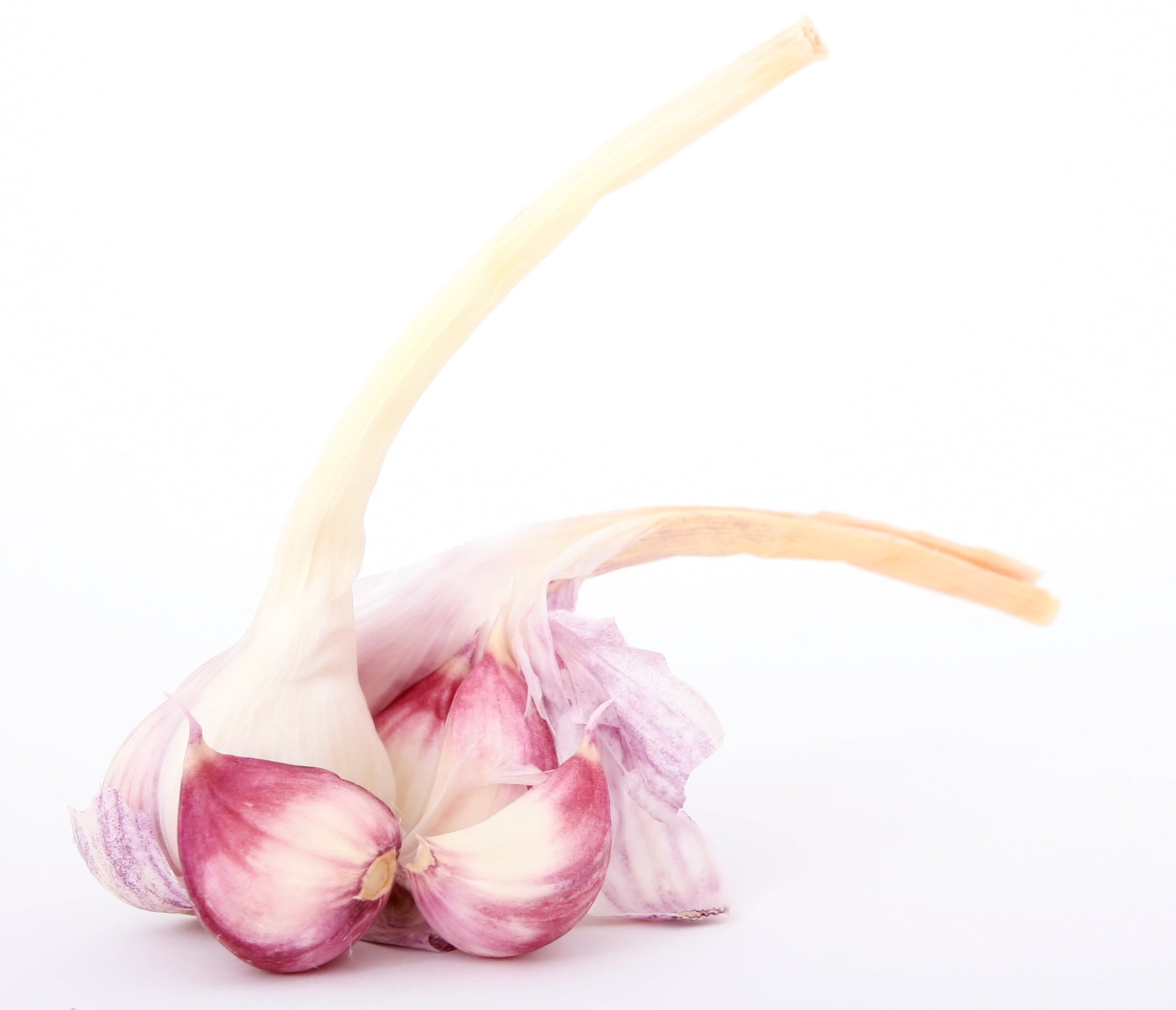 grown, food, healthy eating, 1080P, no people, closeup, single, onion, vegetarian, garlic clove, flavour, white, color, clove, colorful, purple, life, HD Wallpaper
