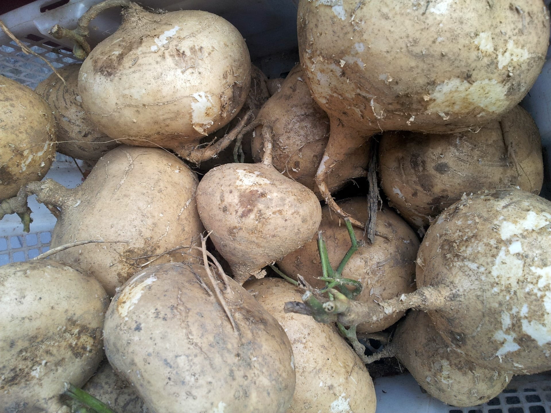 food and drink, food, fresh, potato, Plant, no people, for sale, raw, sweet, 1080P, freshness, backgrounds, Potato, close-up, large group of objects, market, HD Wallpaper