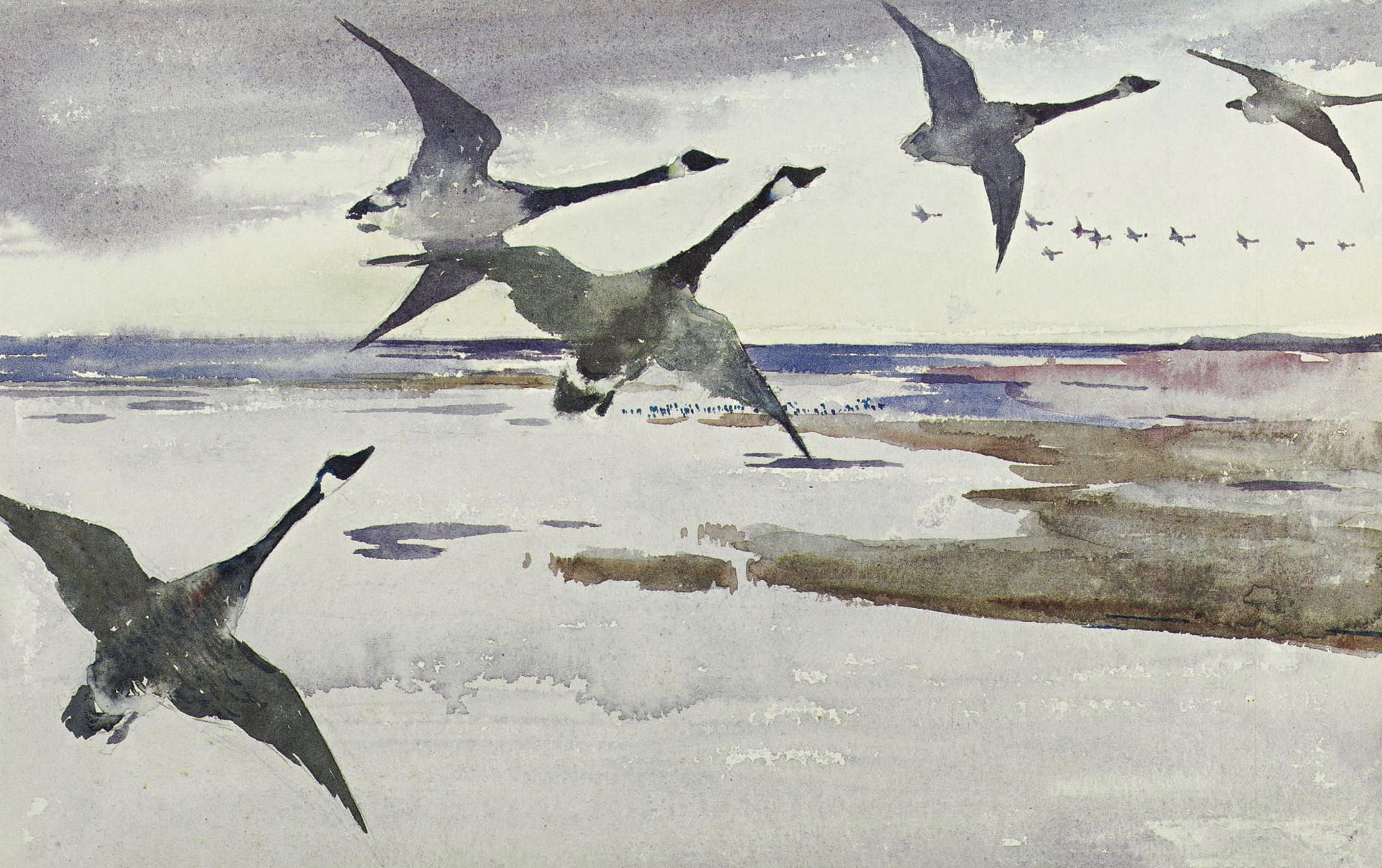 1080P, Frank Weston Benson, figure, birds, The Canada goose, watercolor, HD Wallpaper