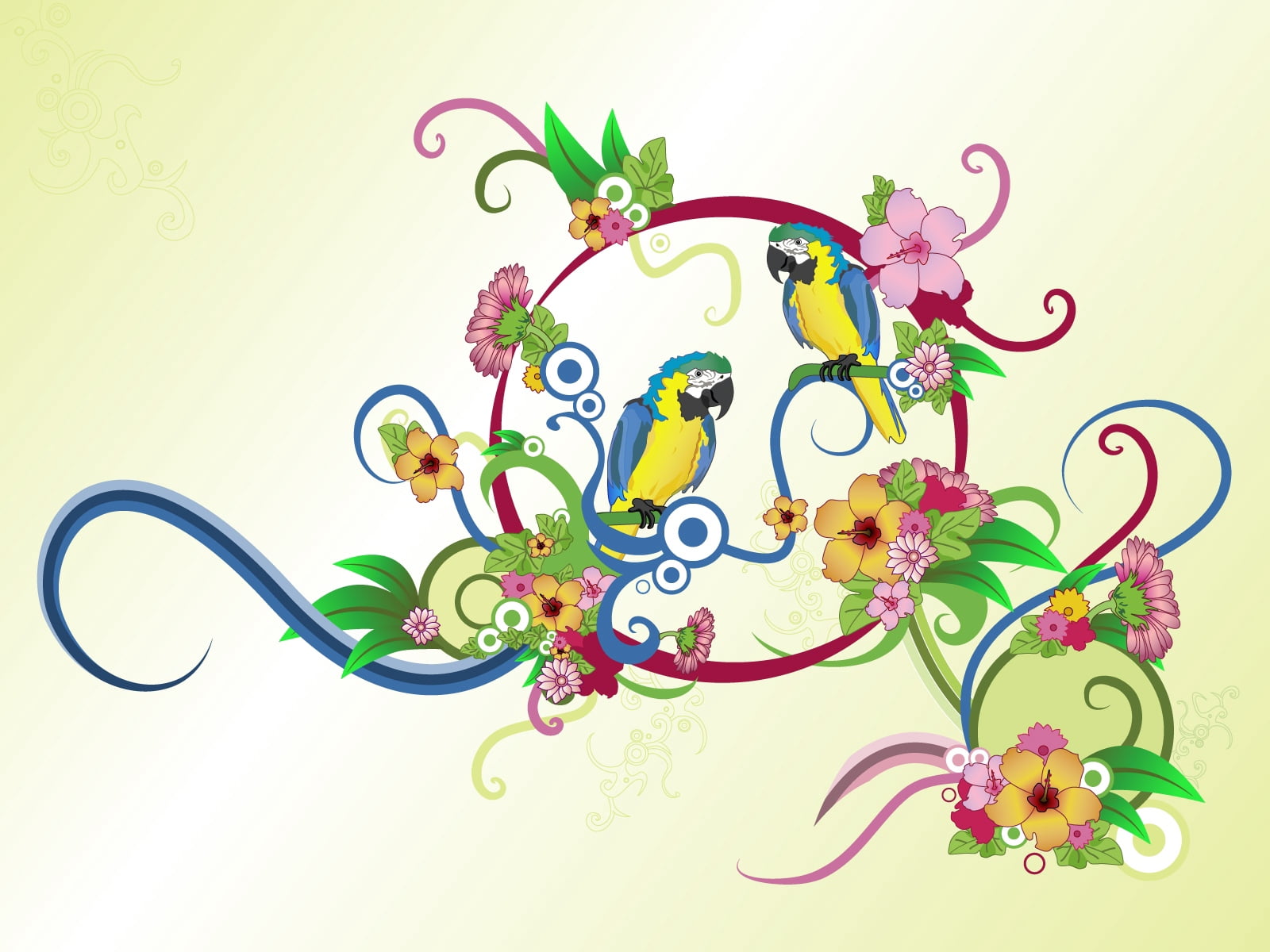 flower, parrots, still life, art, ornate, clip Art, springtime, frame, vector, style, lighting equipment, 720P, single Flower, yellow, summer, multi Colored, HD Wallpaper