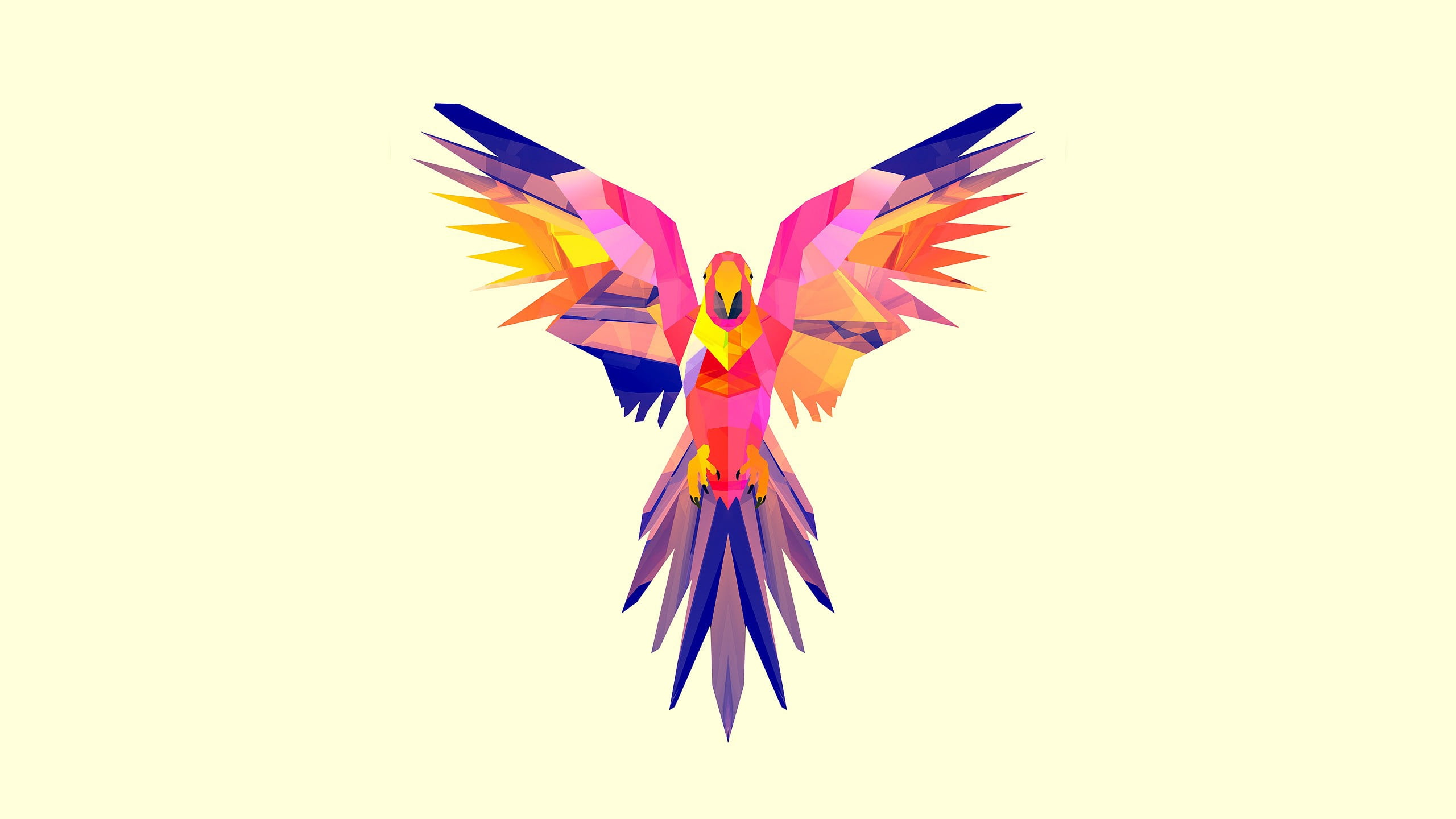 indoors, macaw, no people, isolated, close-up, fragility, flower head, flower, animal, vulnerability, illustration, color, bright, symbol, feather, white background, HD Wallpaper