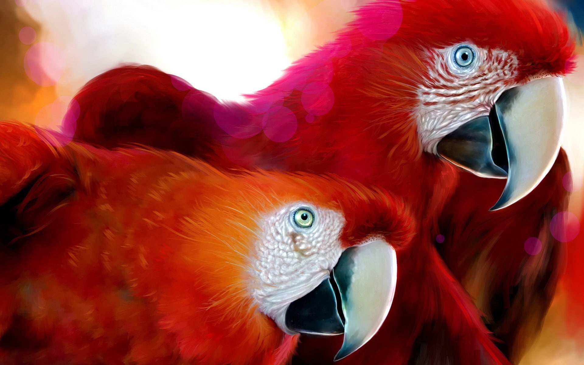 Ara, birds, animal eye, Red, beak, focus on foreground, animal themes, outdoors, animal body part, orange, Figure, bird, animal wildlife, animal head, no people, HD Wallpaper