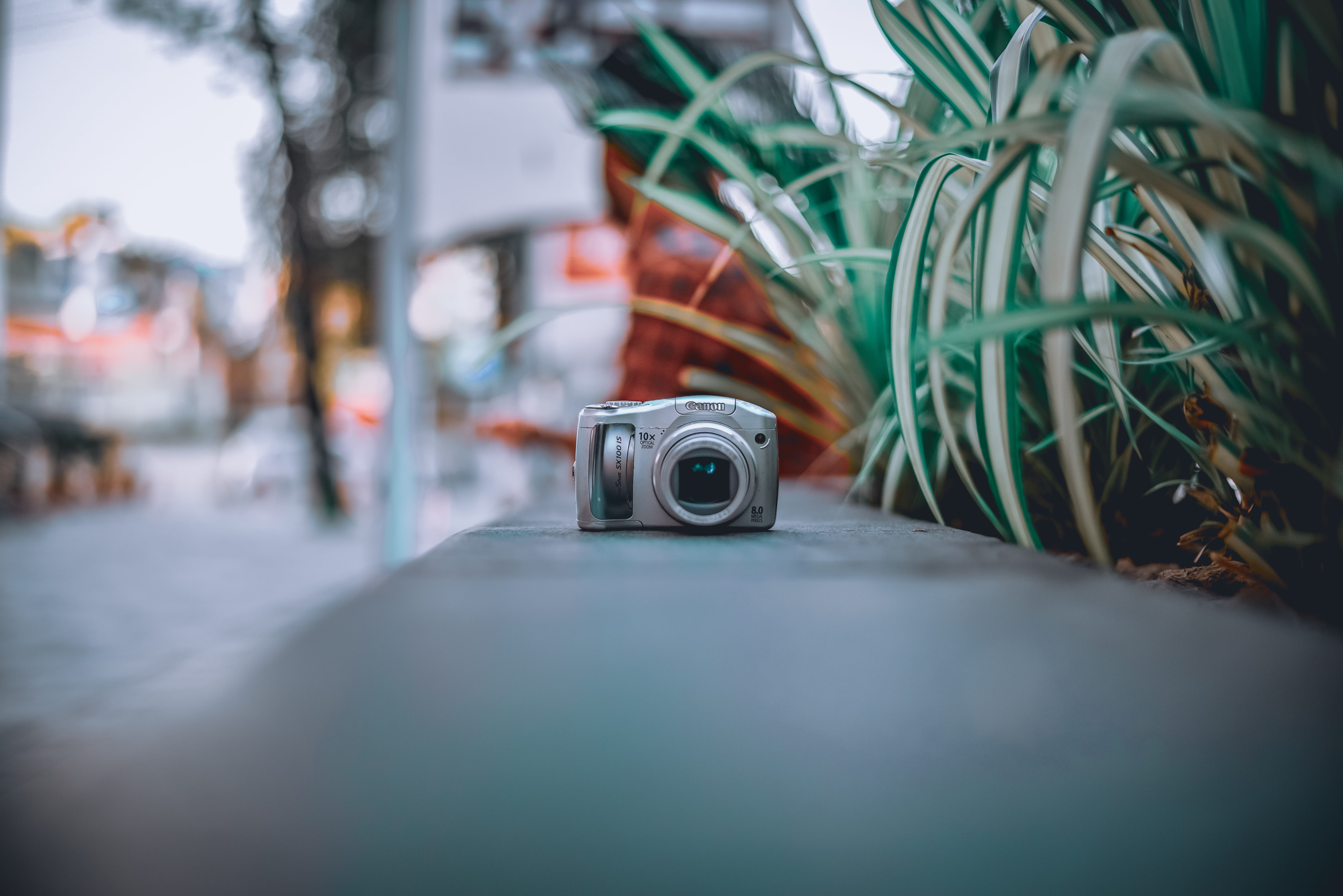 powershot, nature, plant, camera, photographic equipment, no people, electronics, wiring, surveillance, camera - photographic equipment, security camera, HD Wallpaper