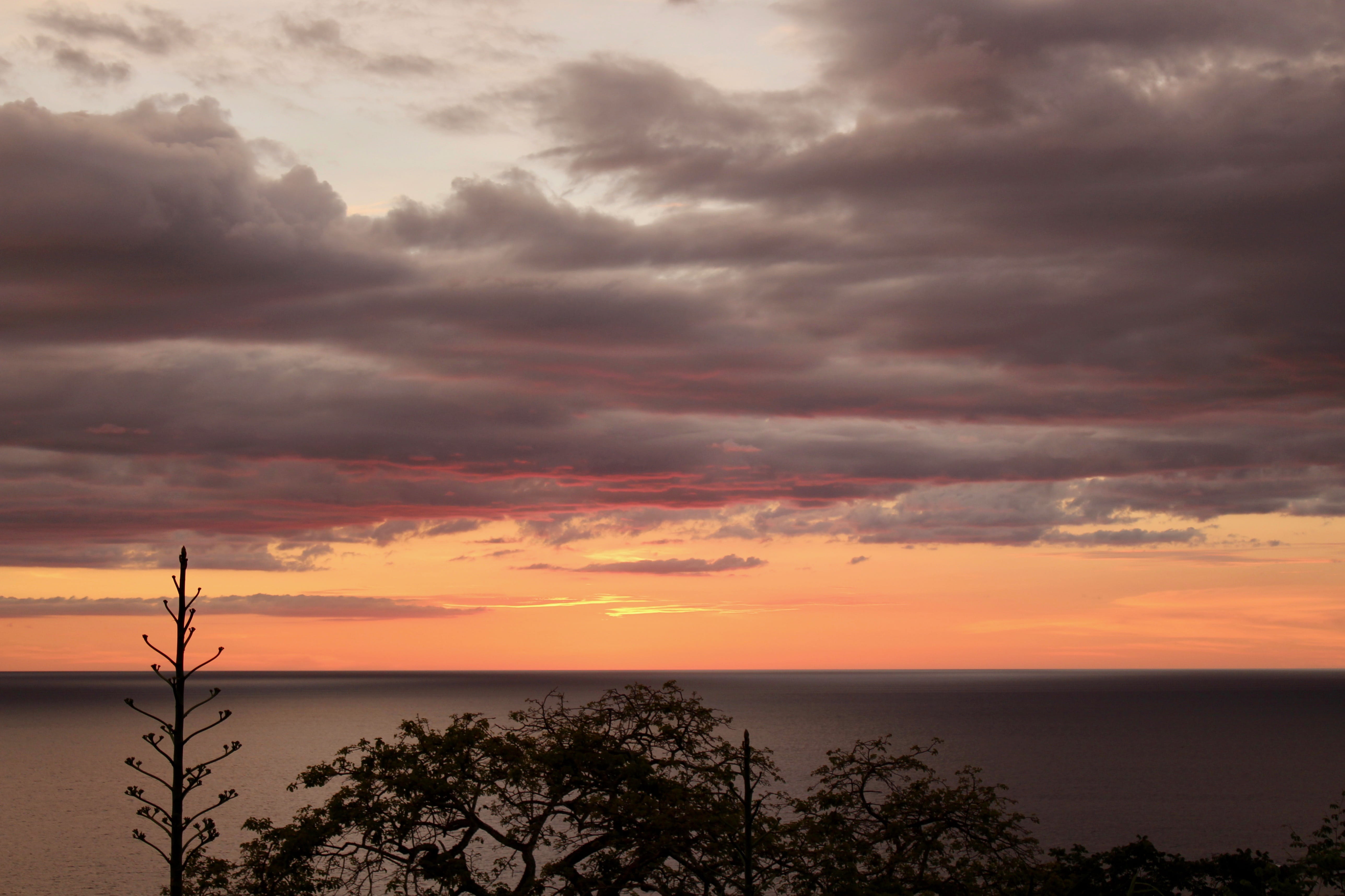 horizon over water, orange color, idyllic, clouds, dramatic sky, costa rica, ocean, 5K, sea, water, scenics - nature, beauty in nature, trees, tranquil scene, HD Wallpaper