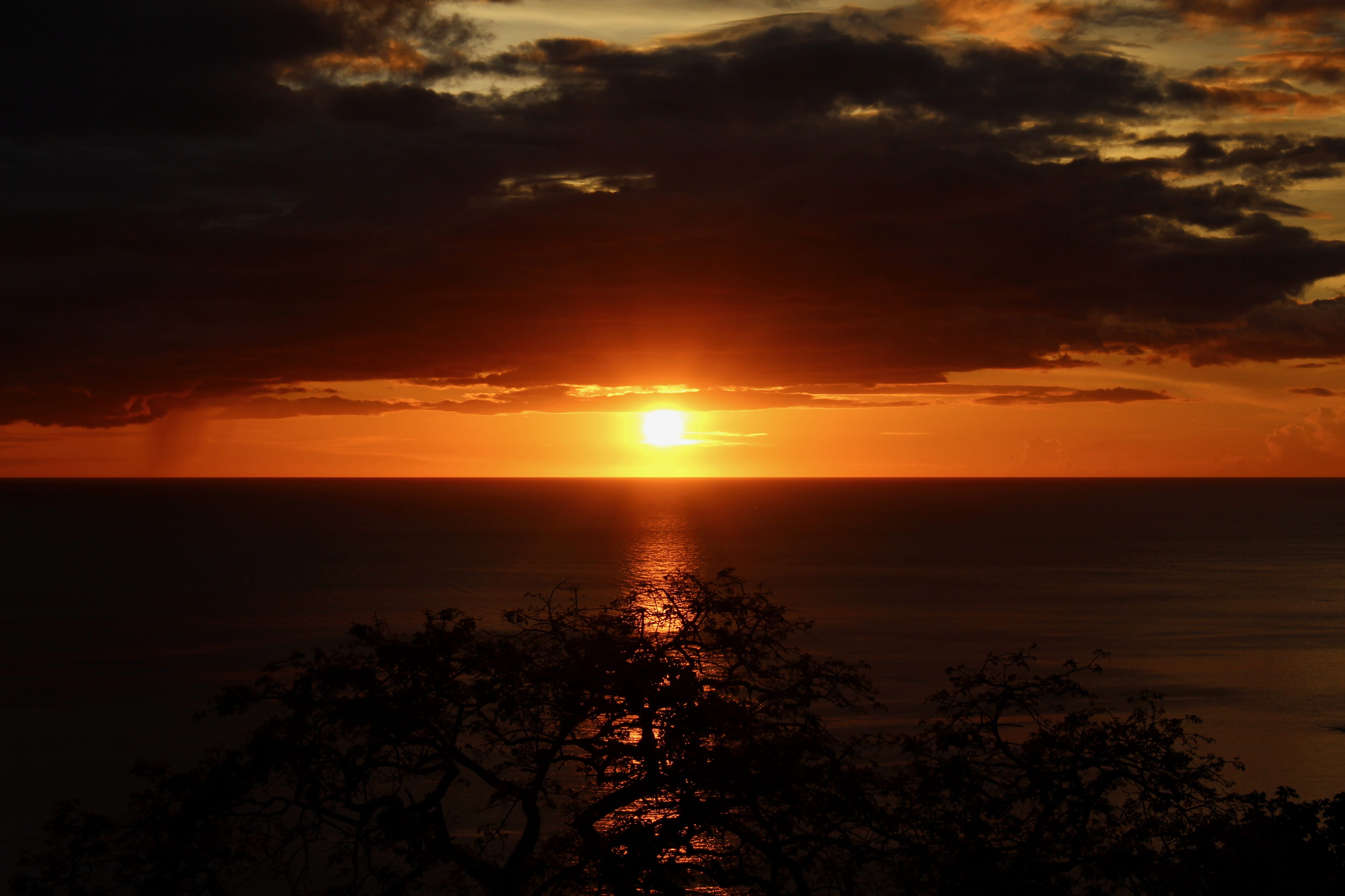 costa rica, sea, papagayo peninsula, outdoors, silhouette, sun, tranquil scene, scenics - nature, cloud - sky, 5K, trees, orange color, horizon over water, HD Wallpaper