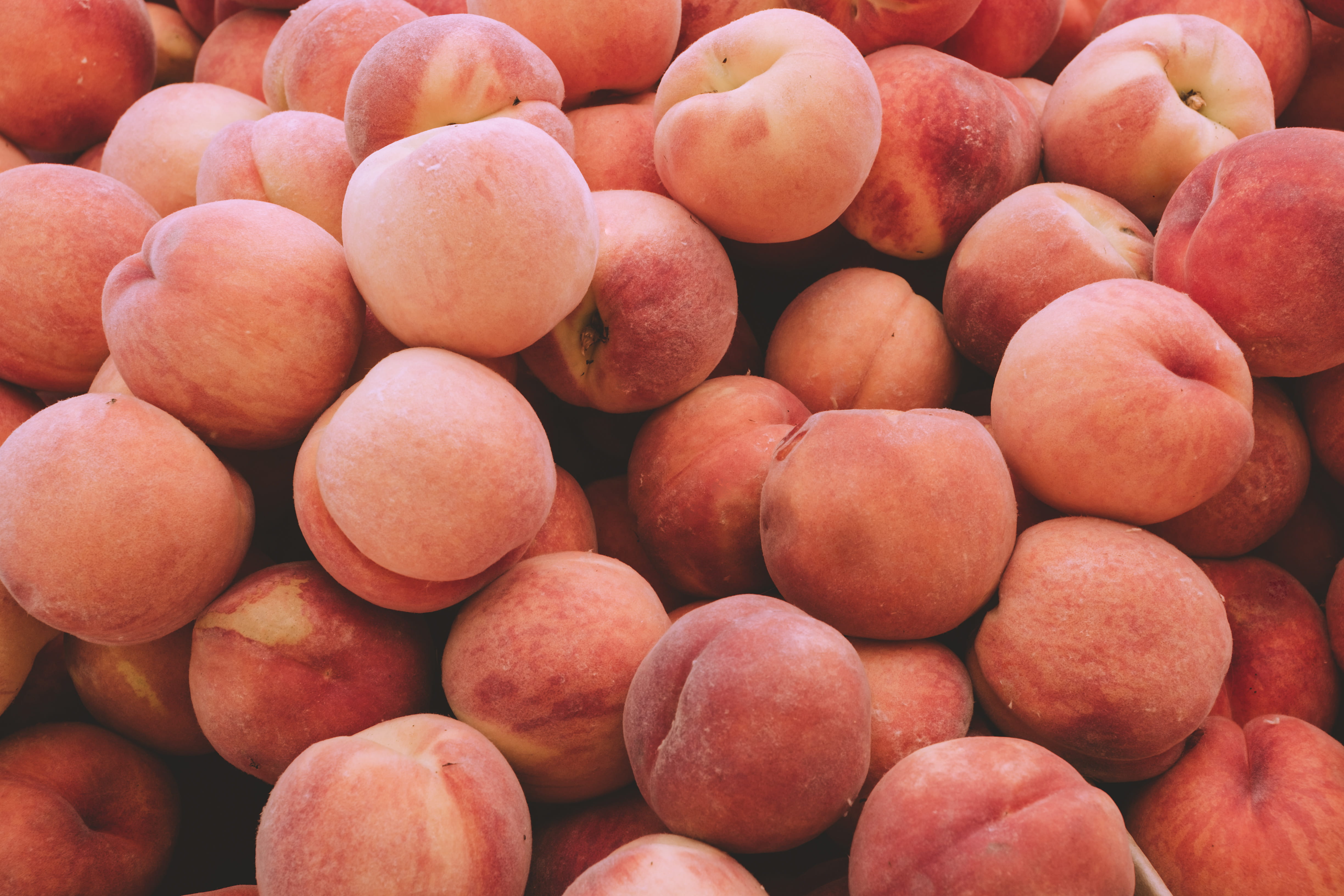melon, peaches, bird, parrot, full frame, plum, ripe, wellbeing, abundance, peach, 4K, healthy eating, tablecloth, produce, food and drink, no people, HD Wallpaper