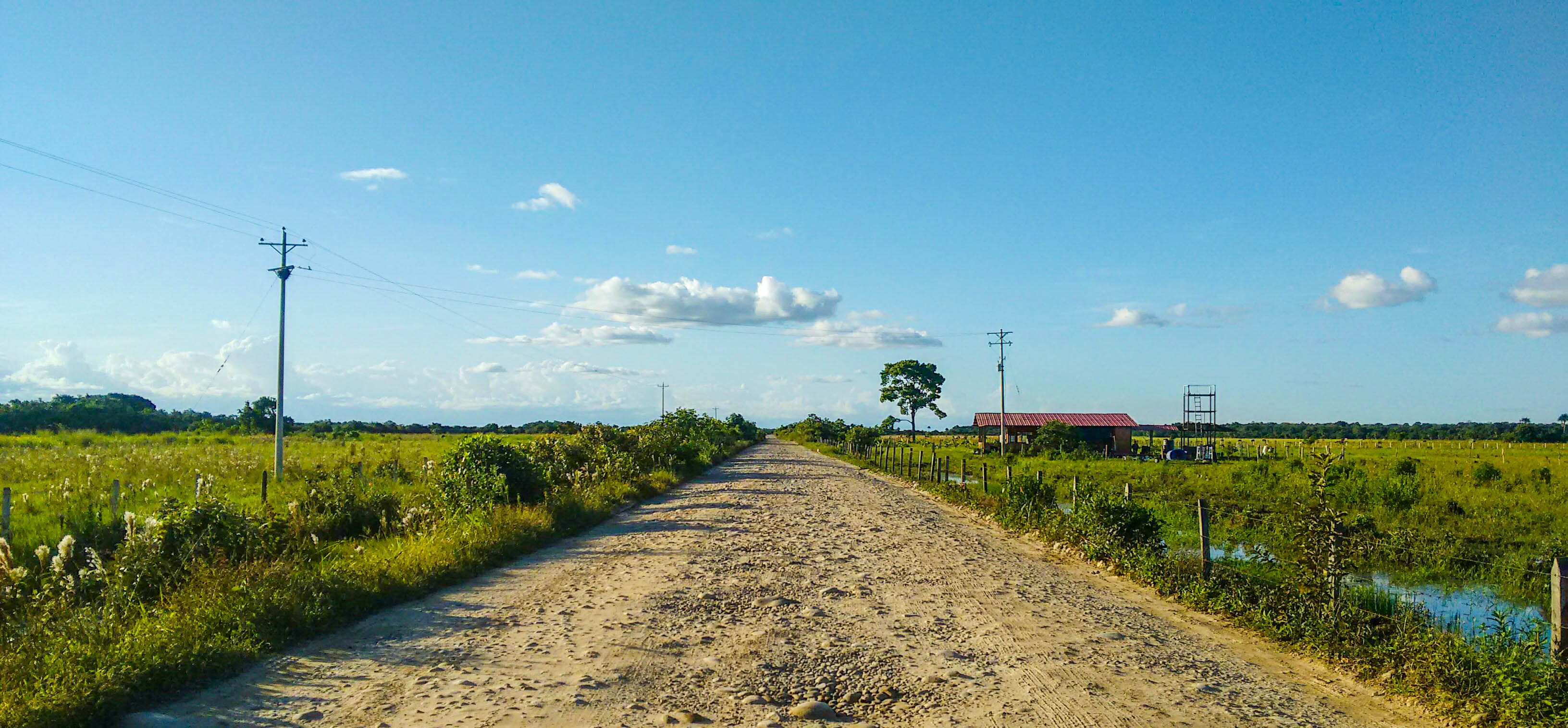 direction, road, travel, colombia, electricity, cable, transportation, vanishing point, telephone line, plant, connection, the way forward, electricity pylon, HD Wallpaper