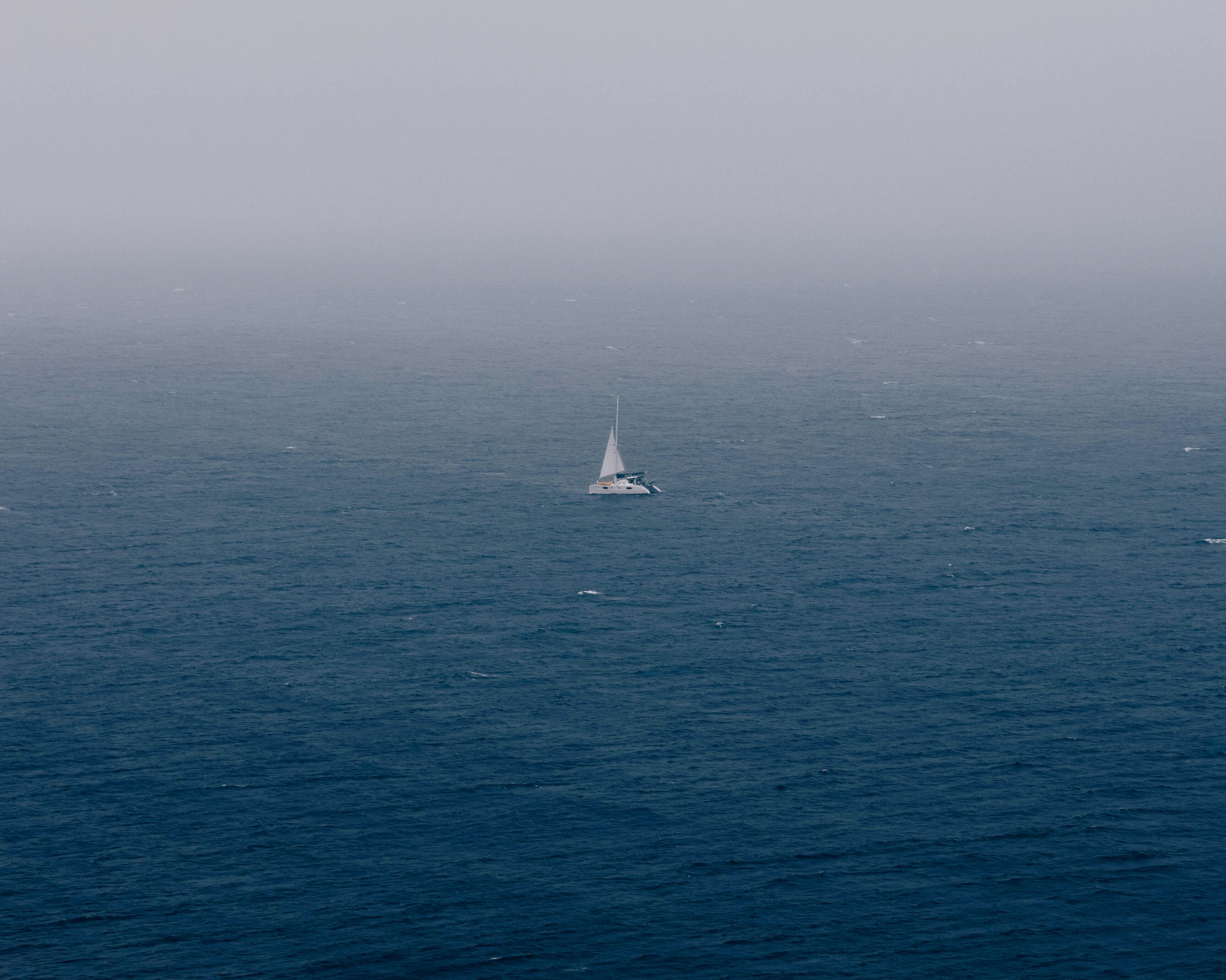 water, beauty in nature, cabo de sao vicente, no people, cloudy, animal themes, animal wildlife, tranquil scene, transportation, sea, blue, marine, yacht, HD Wallpaper