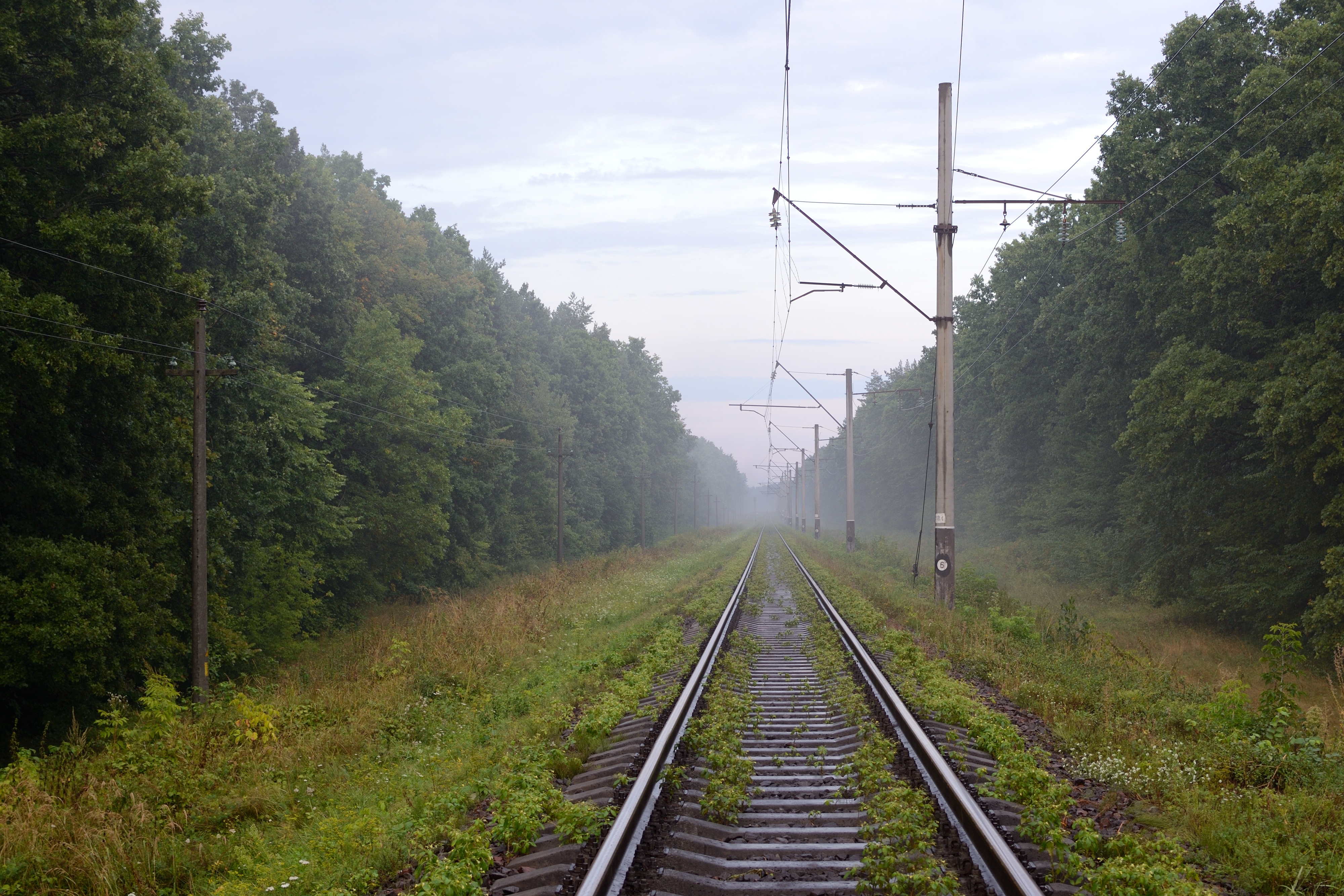 tourism, no people, plant, day, rails, diminishing perspective, 4K, track, transportation, the way, green color, power supply, cable, land, electricity, HD Wallpaper