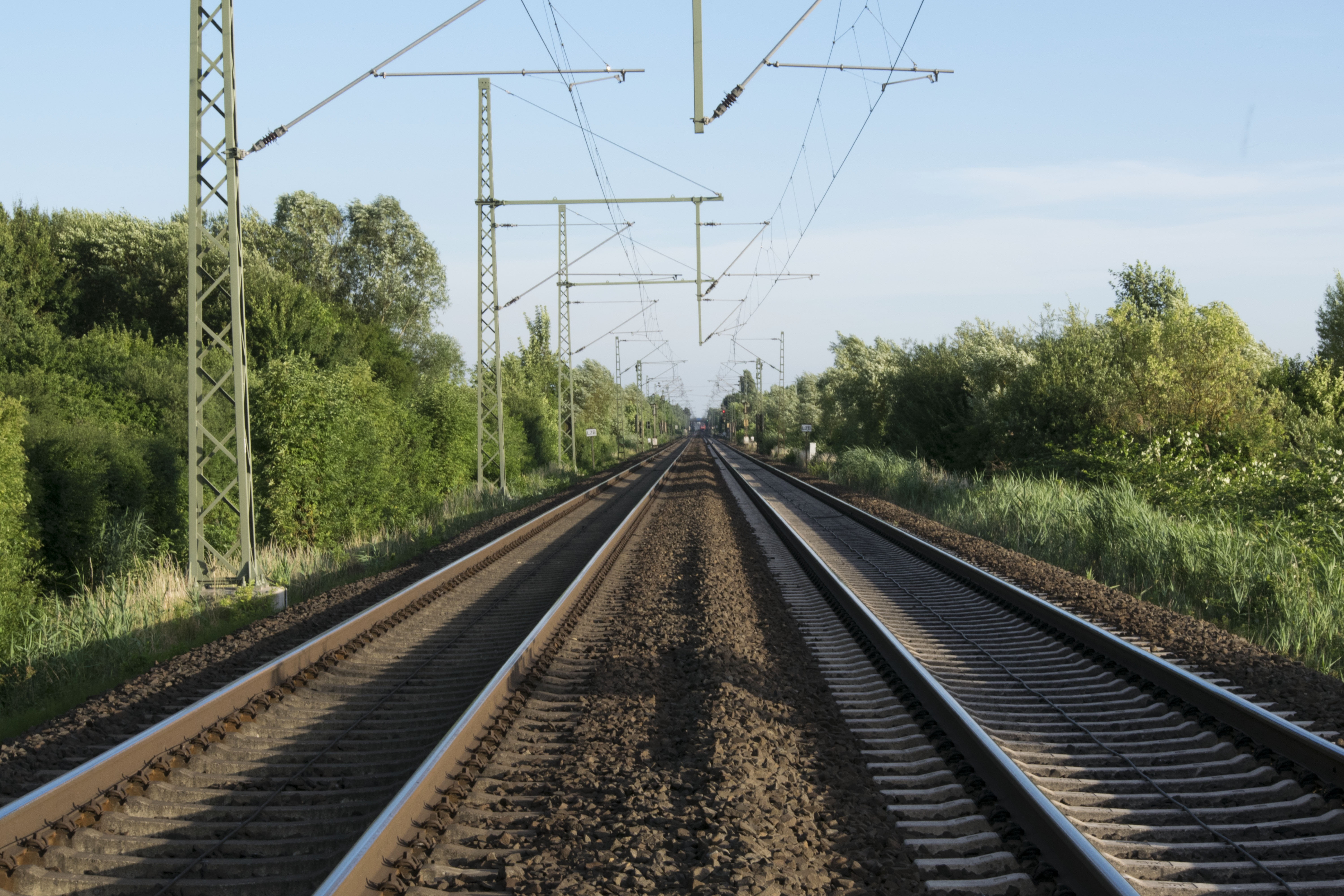 parallel, railroad, the way forward, railway, no people, power supply, plant, 5K, tracks, electricity, straight, growth, nature, train, perspective, diminishing perspective, HD Wallpaper