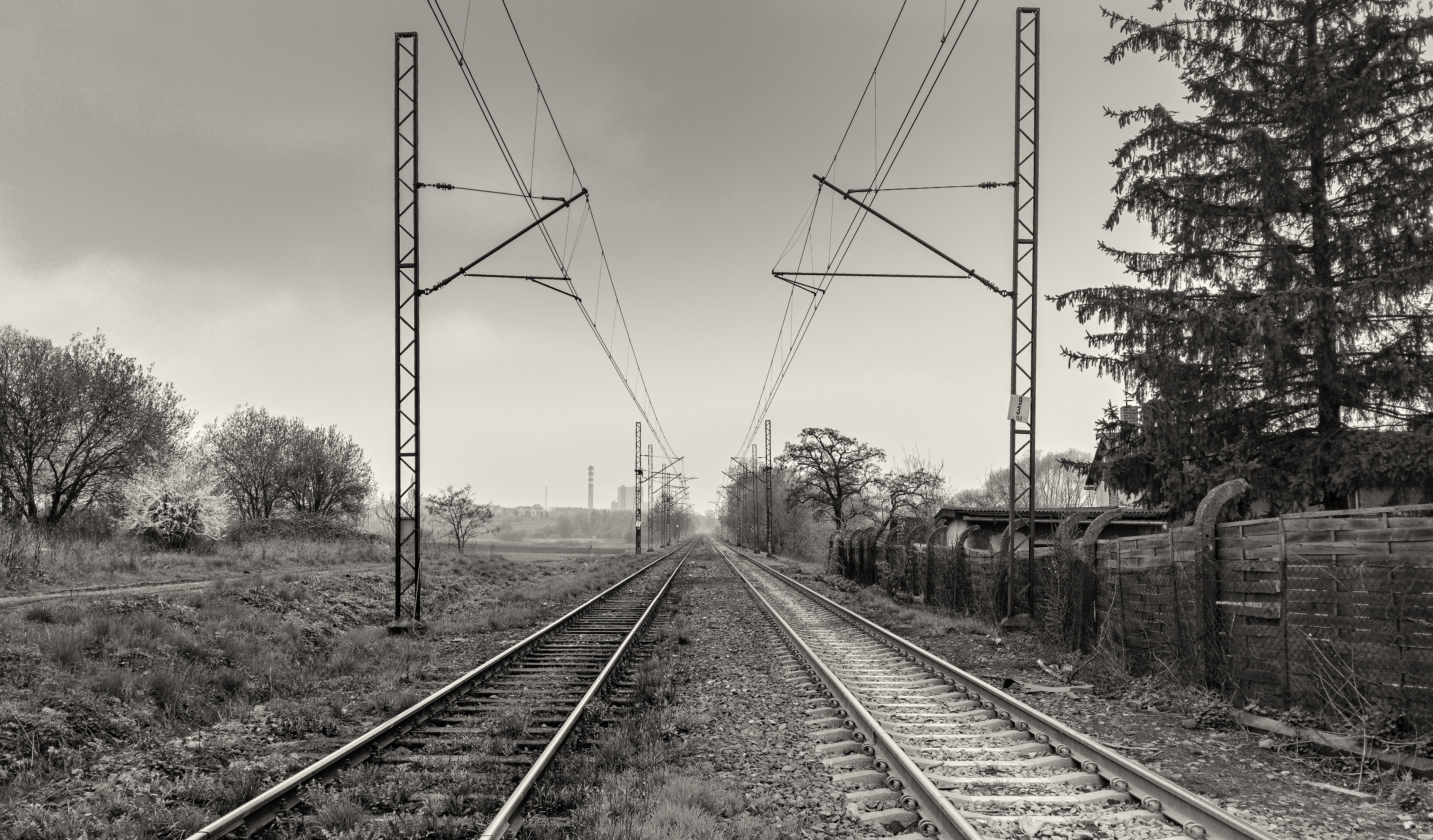 rail transportation, diminishing perspective, connection, day, transportation, tree, cable, railroad track, no people, tracks, plant, outdoors, the way forward, HD Wallpaper