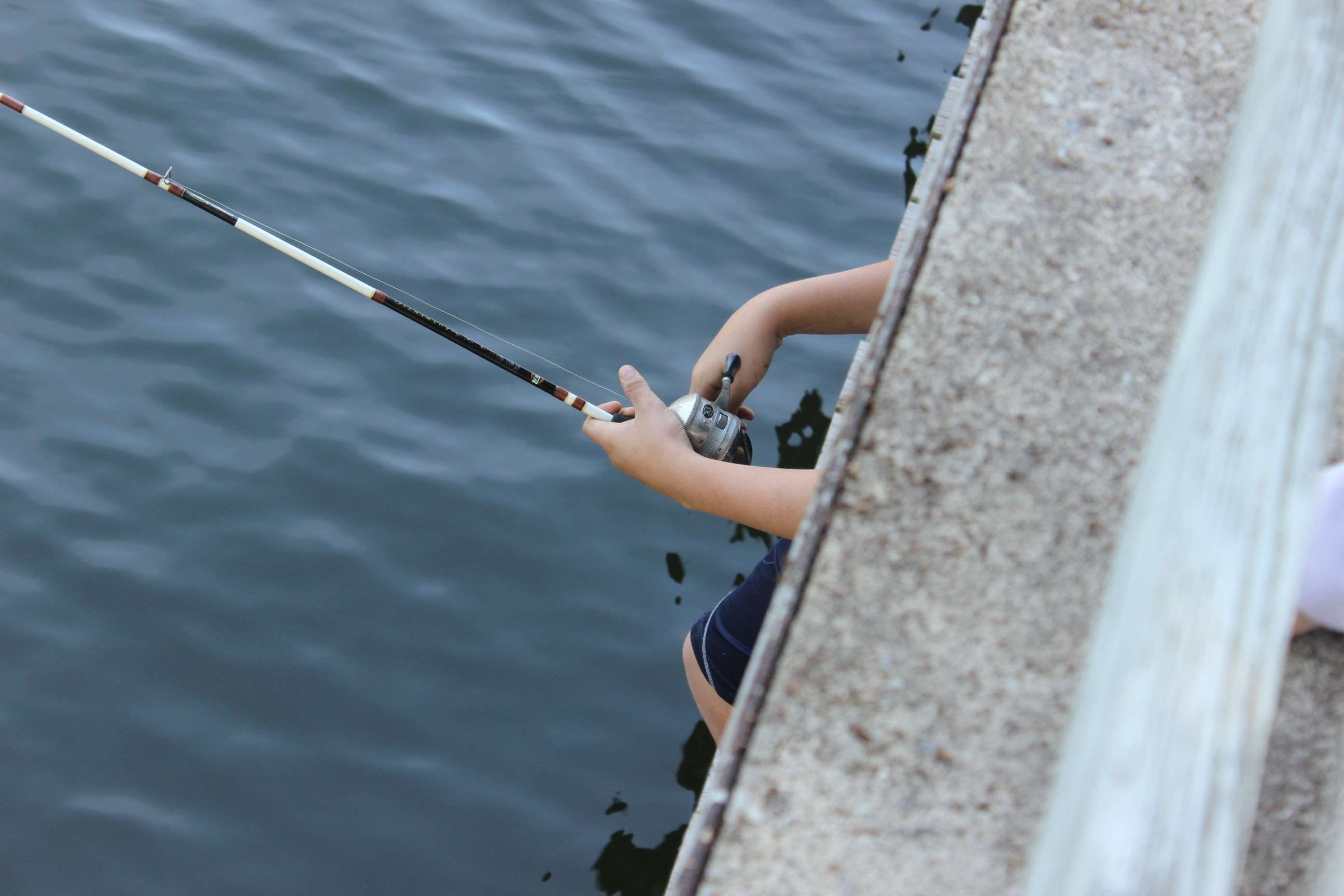 holding, rod, real people, sitting, catch, sea, boat, fishing pole, fishing rod, high angle view, fish, activity, fisher, lifestyles, nature, outdoors, HD Wallpaper