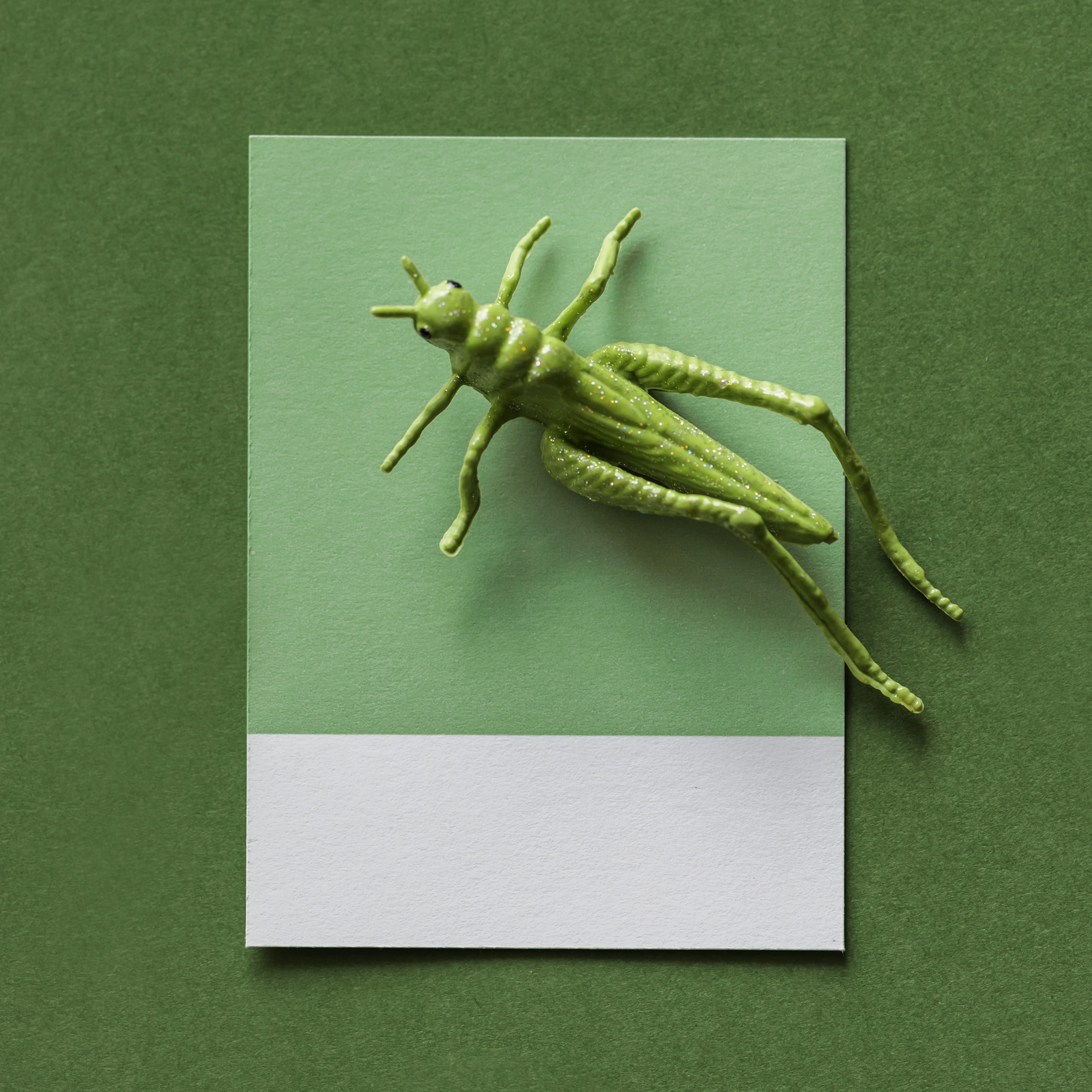 paper, design, bug, card, creativity, close-up, green background, animal, concept, green color, studio shot, shape, grasshopper, animal body part, artsy, Phone HD Wallpaper