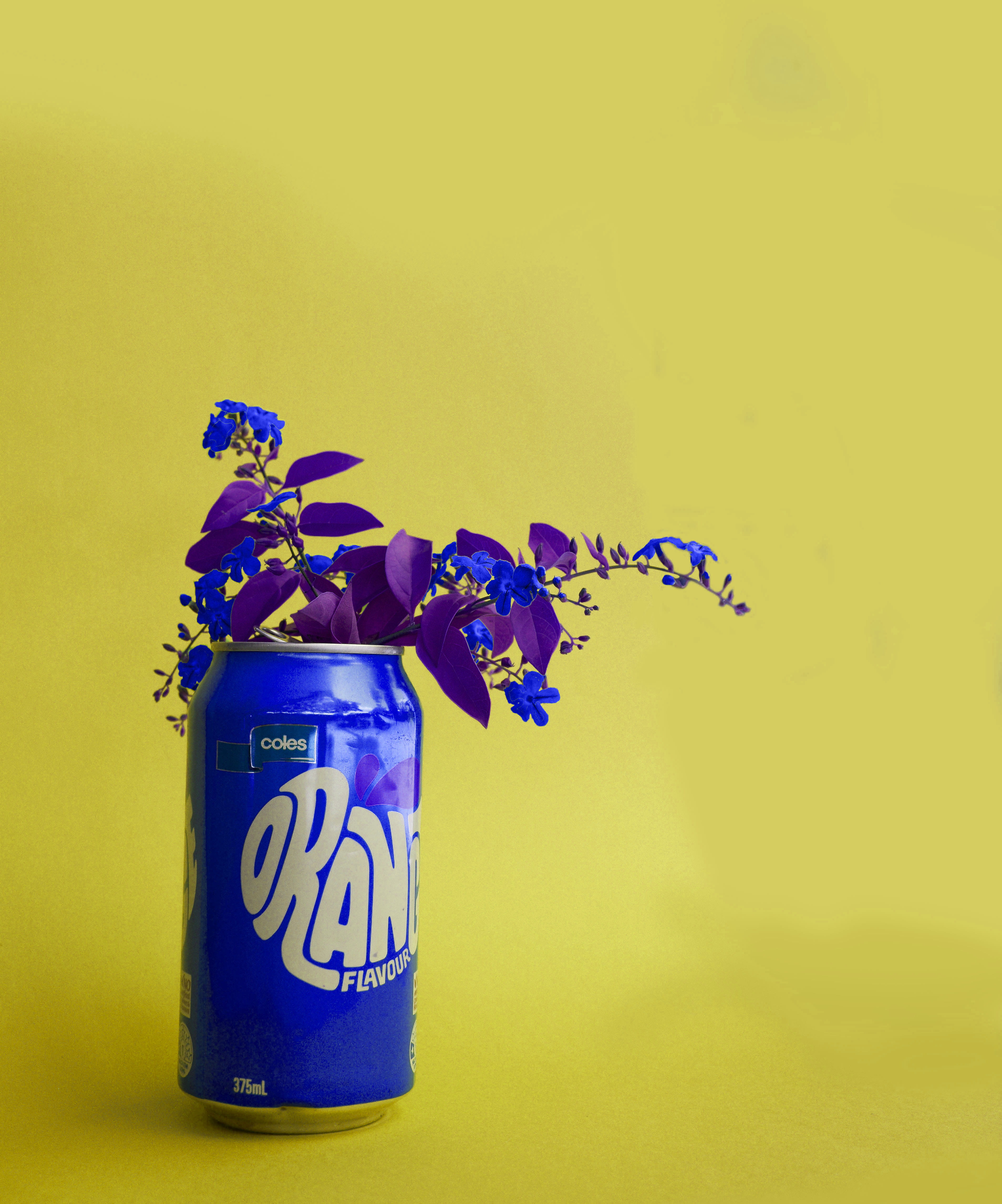 jar, food and drink, 4K, leafed, blue, purple, artsy, communication, container, bottle, copy space, growth, artistic, can, vibrant color, yellow background, Phone HD Wallpaper