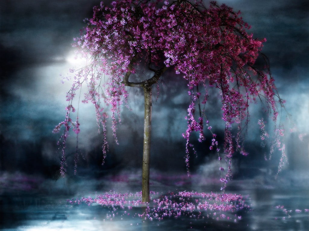 pink, floral, plant, nature, no people, freshness, purple, day, textile, tree, smoke - physical structure, sky, 480P, flower, fantasy art, pink color, HD Wallpaper