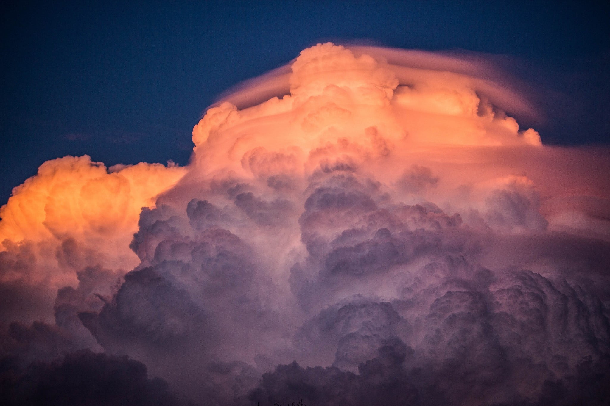 floral, orange color, environment, cloudscape, tranquility, scenics - nature, softness, textile, nature, awe, sunset, pink, outdoors, power in nature, cloud - sky, HD Wallpaper