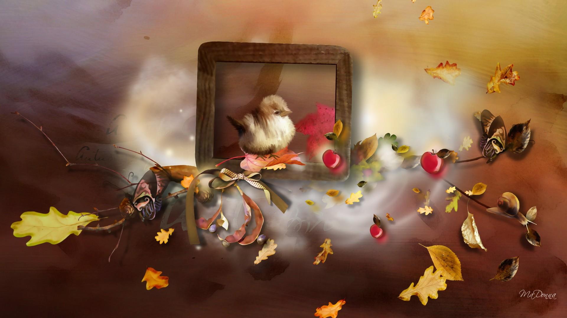 justification, apples, bird, brown, fall, firefox persona, autumn, animals, leaves, 1080P, HD Wallpaper