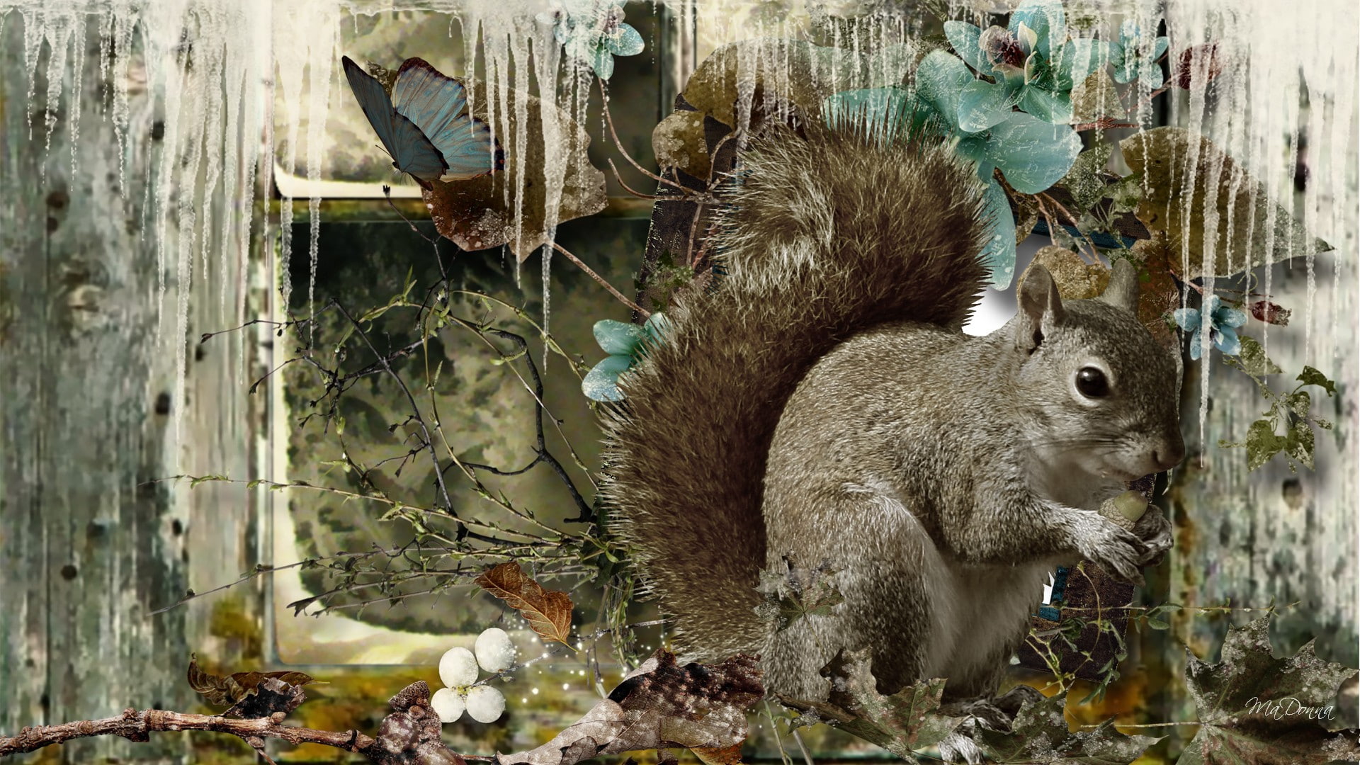 animals, frost, barn, cold, acorns, Butterfly, dried leaves, chipmunk, 1080P, art, squirrels, first, fall, hd, HD Wallpaper