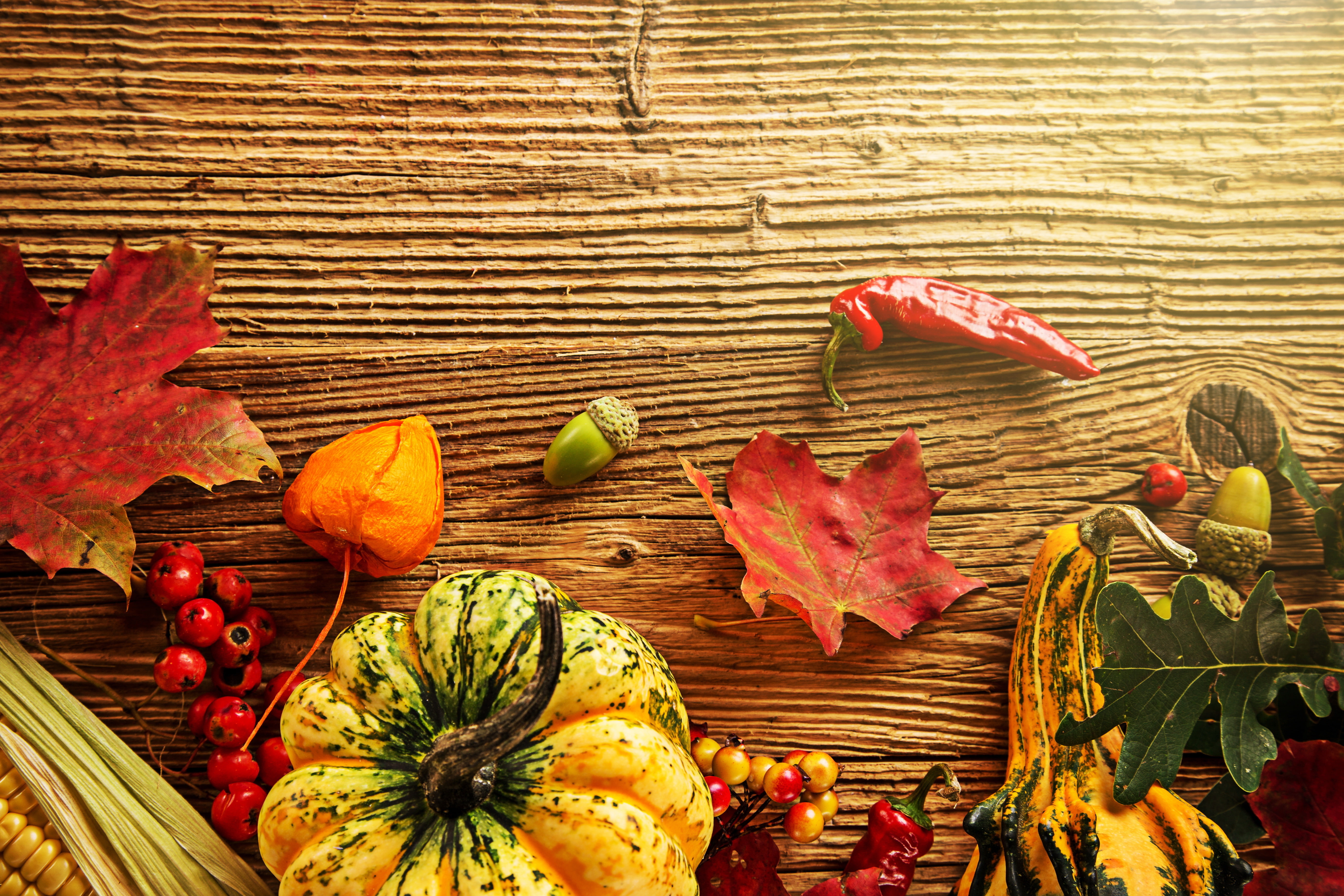 berries, pepper, harvest, 5K, pumpkin, tree, acorns, corn, autumn, leaves, HD Wallpaper