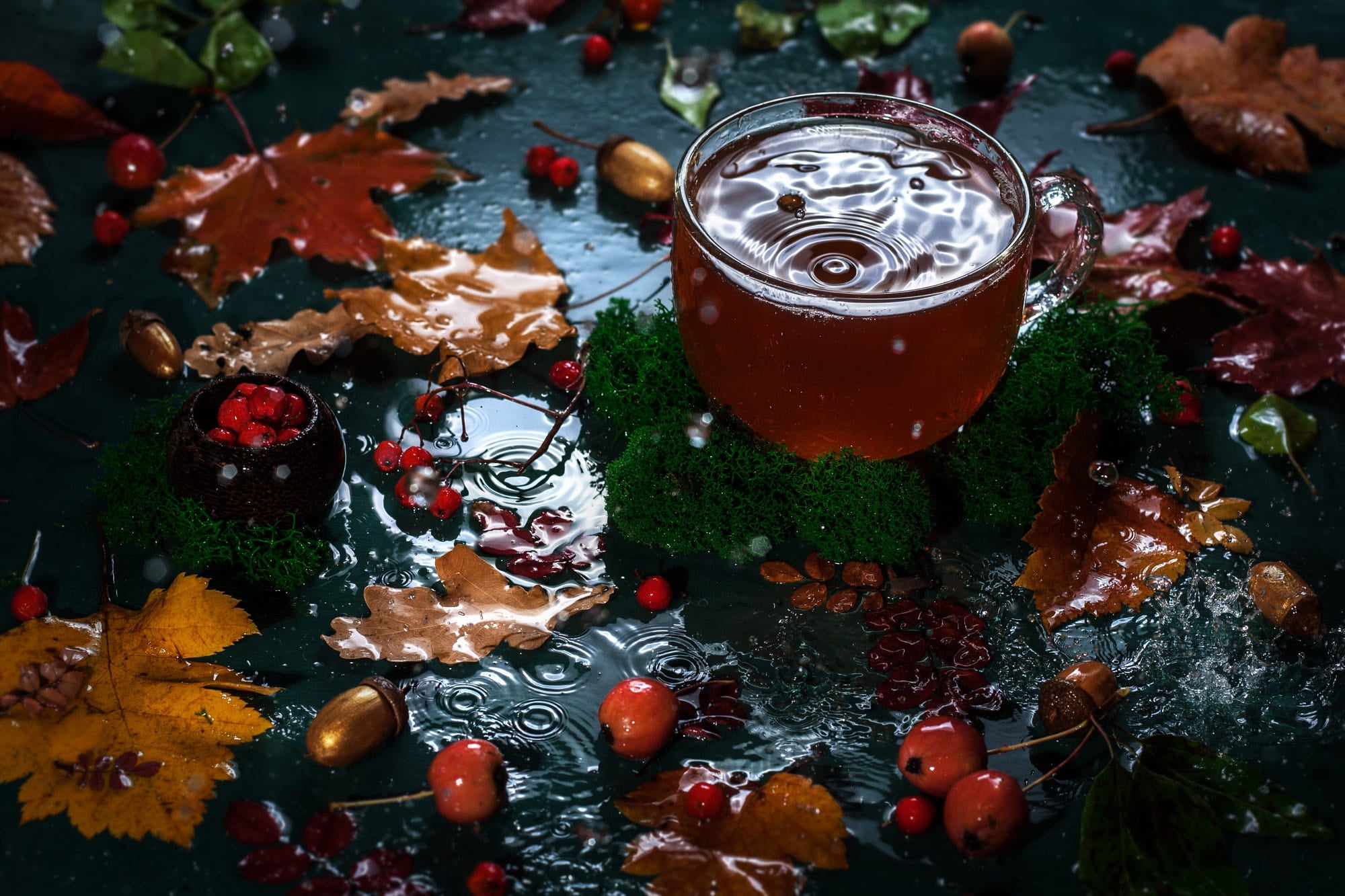 tea, leaves, acorns, berries, bokeh, autumn, moss, Cup, water, apples, 1080P, HD Wallpaper