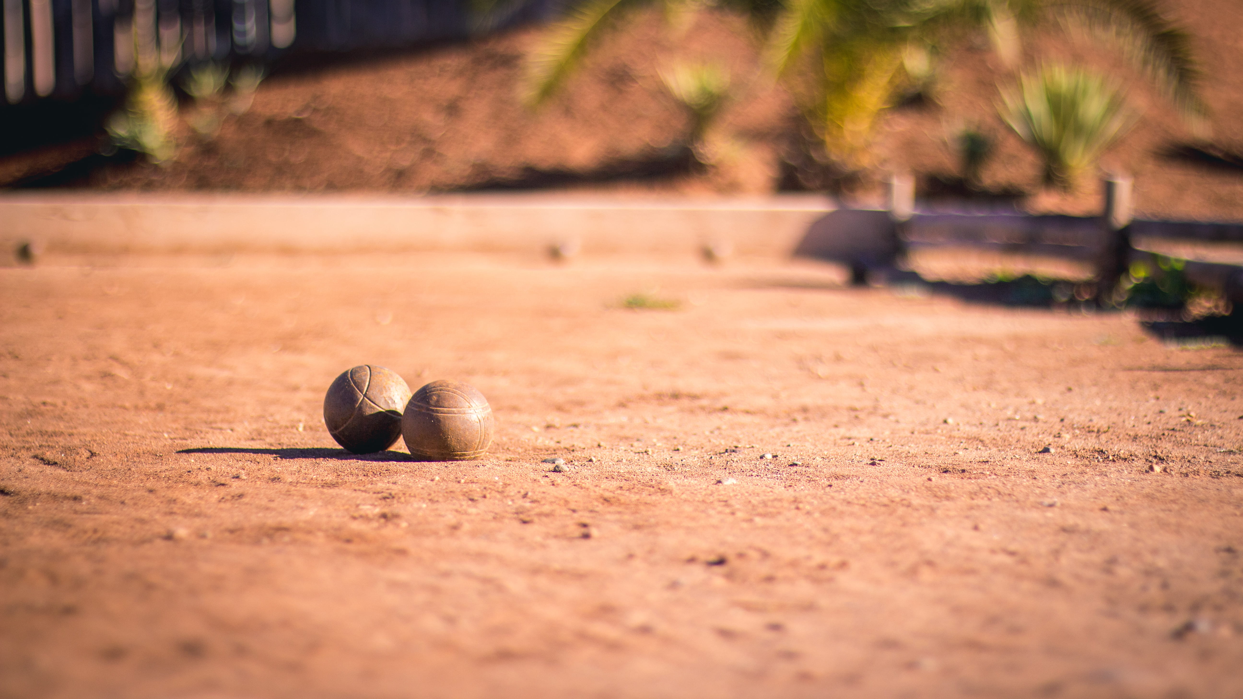 animals in the wild, morocco, animal, gravel, 5K, close-up, one animal, baseball - sport, felah, road, nature, land, baseball - ball, apparel, sand, sports, HD Wallpaper