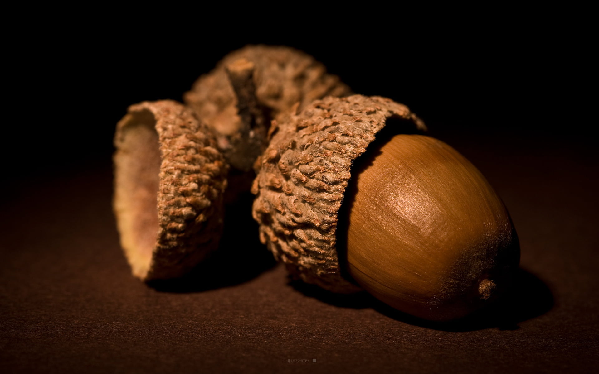 indoors, acorn, brown, nuts, wood - material, two objects, nut - food, food and drink, chesnut, colored background, 1080P, healthy eating, nut, food, close-up, HD Wallpaper