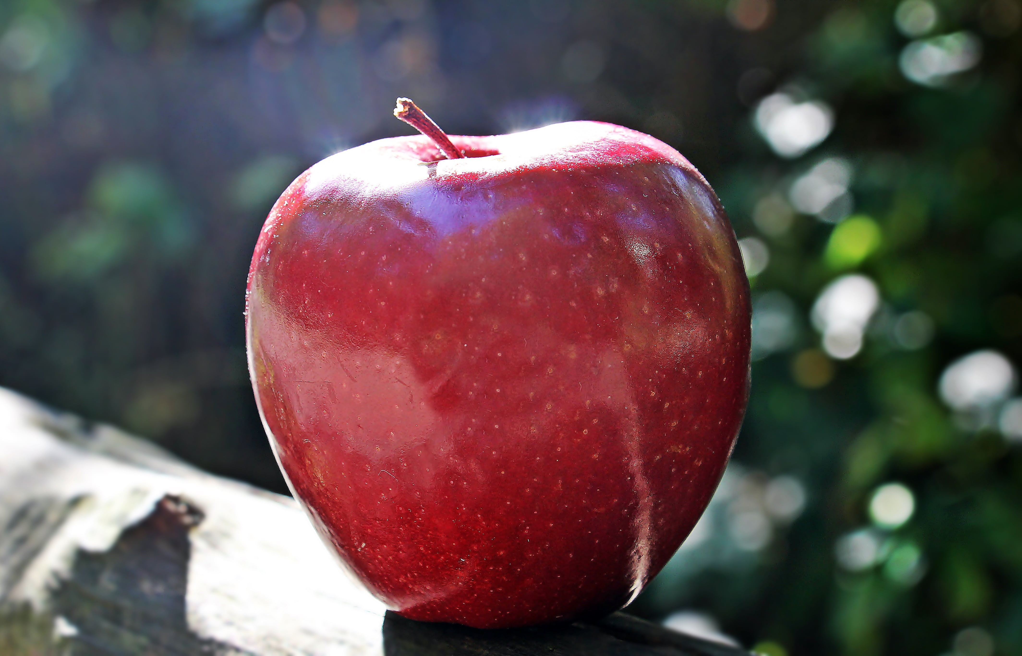sun, fruity, food and drink, wellbeing, 4K, growth, plant, red delicious, red, lens, tilt, no people, healthy eating, coloring group a, bless you, appetite, HD Wallpaper
