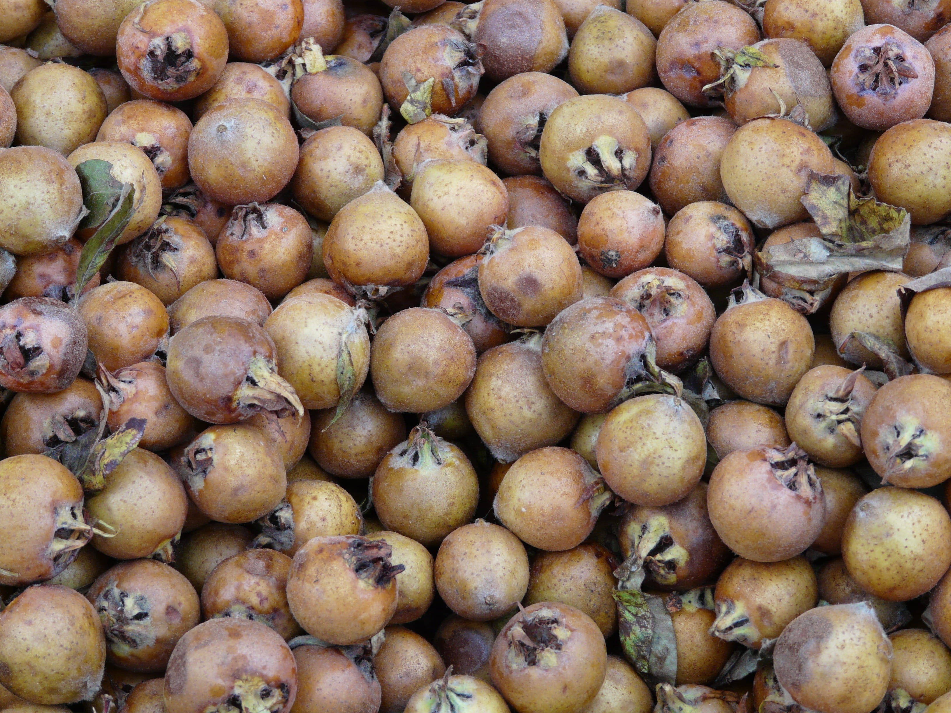 retail, potato, medlars, food and drink, abundance, mostbirnen, close-up, business, food, Market, fruit, 2K, nature, freshness, full frame, fruits, retail display, HD Wallpaper