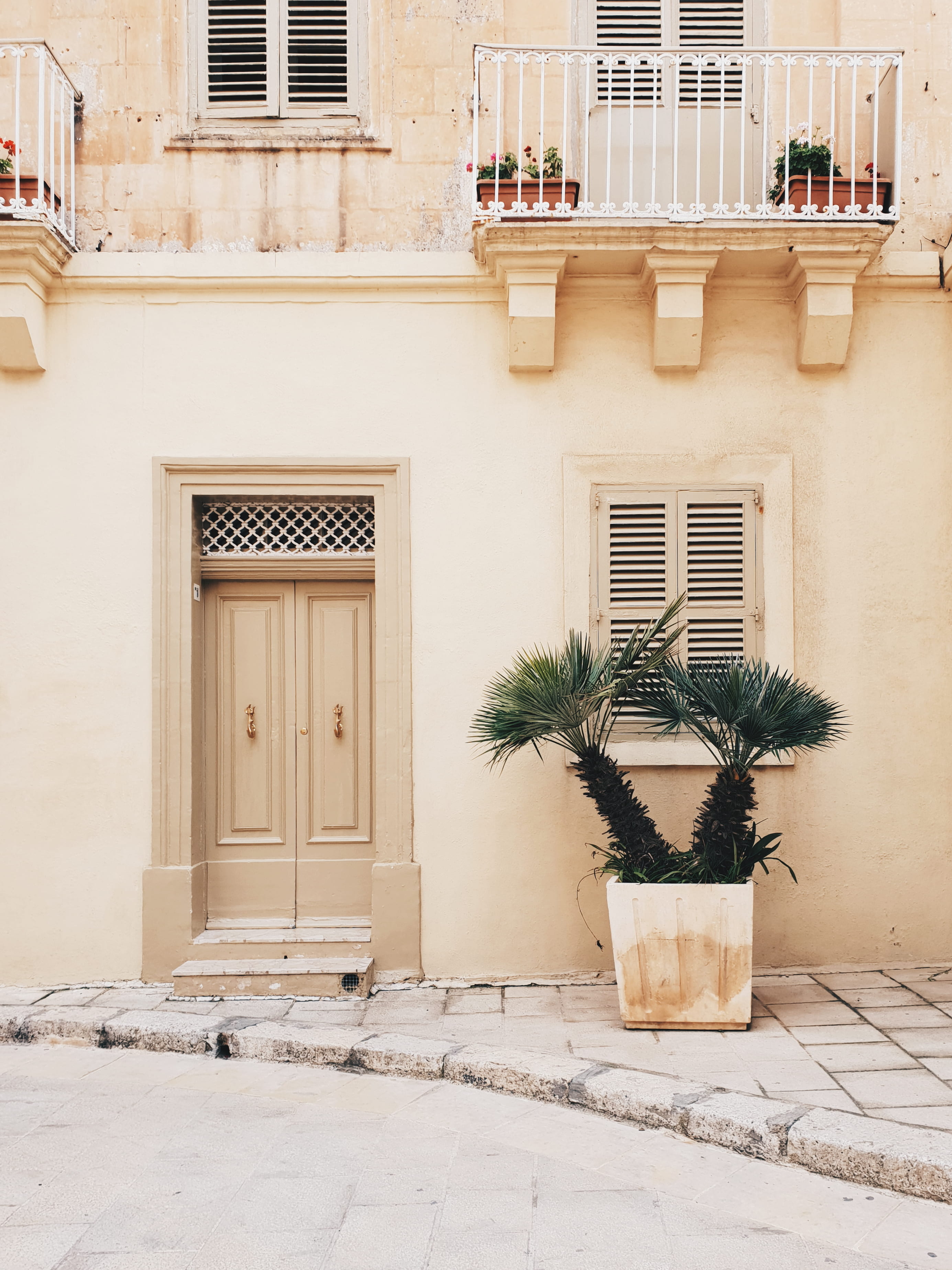 vacation, monochrome, built structure, near, alley, street view, residential district, outdoors plant, potted plant, sunlight, plant, window, building exterior, Phone HD Wallpaper