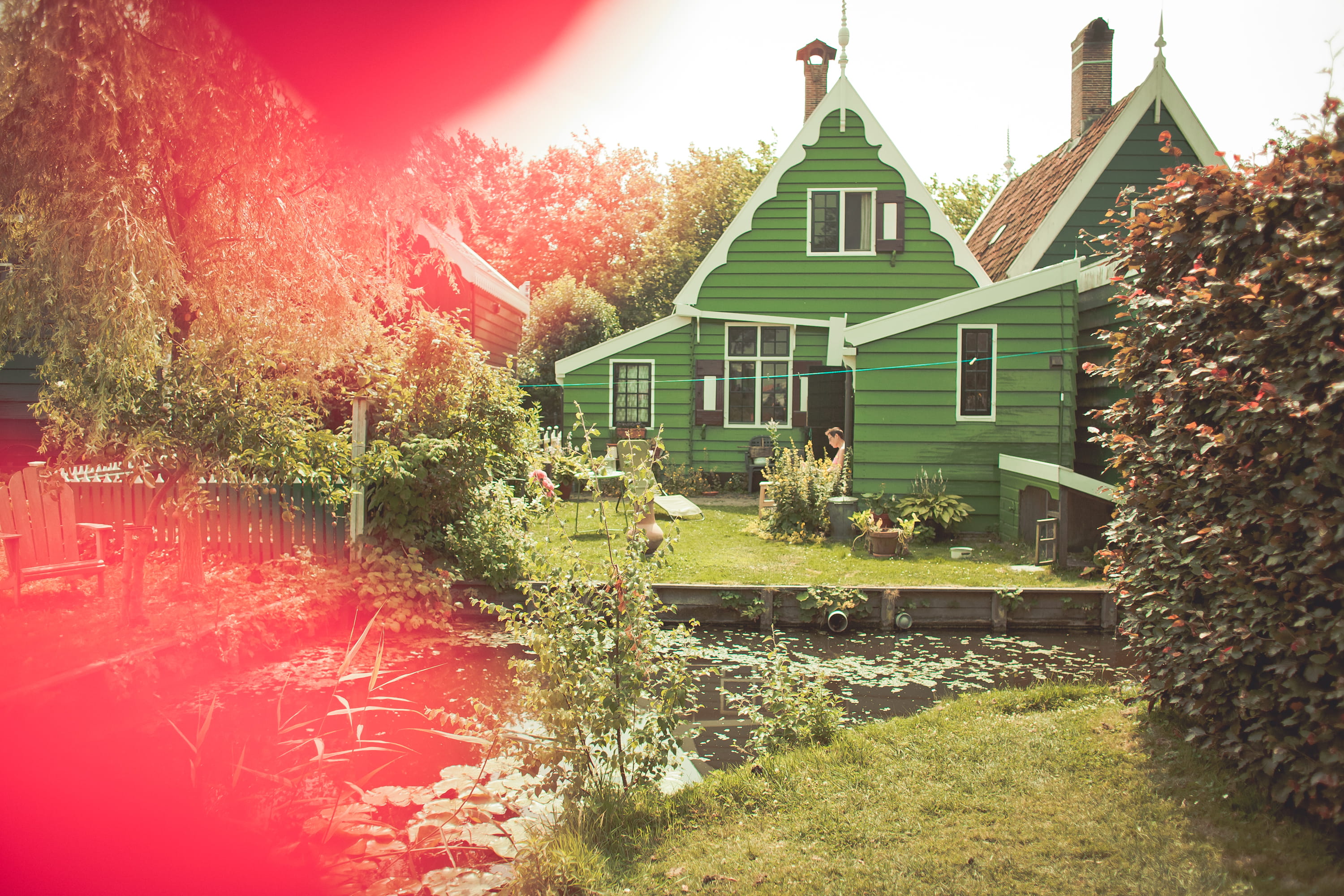 growth, building, day, trees, houses, residential district, red, sunlight, transportation, green, house, architecture, water, flower, grass, 2K, plant, HD Wallpaper
