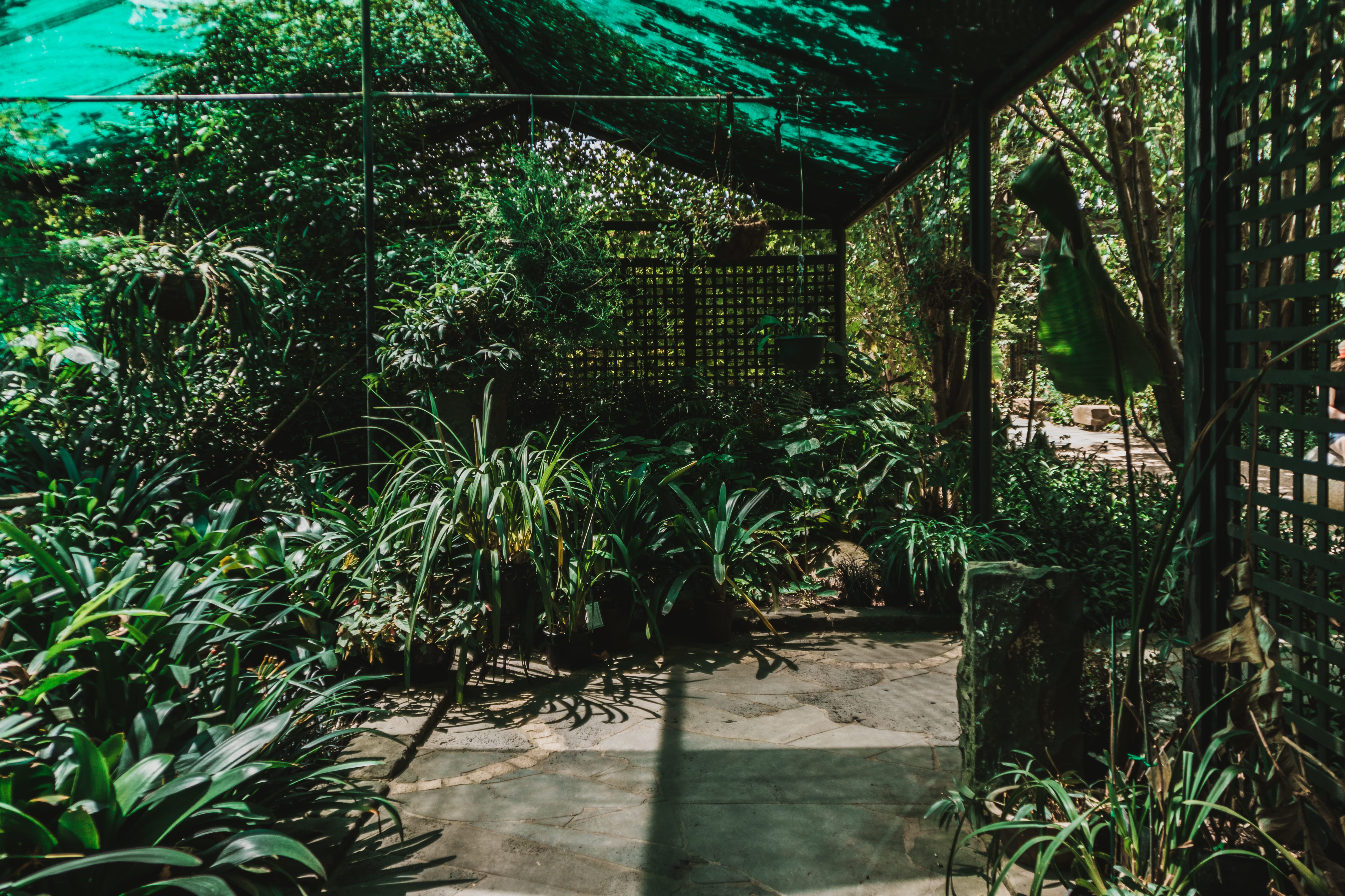 green color, australia, tree, botanicals., yarra glen, greenhouse, greenery, garden, house, home, built structure, footpath, no people, nature, hanging plants, HD Wallpaper