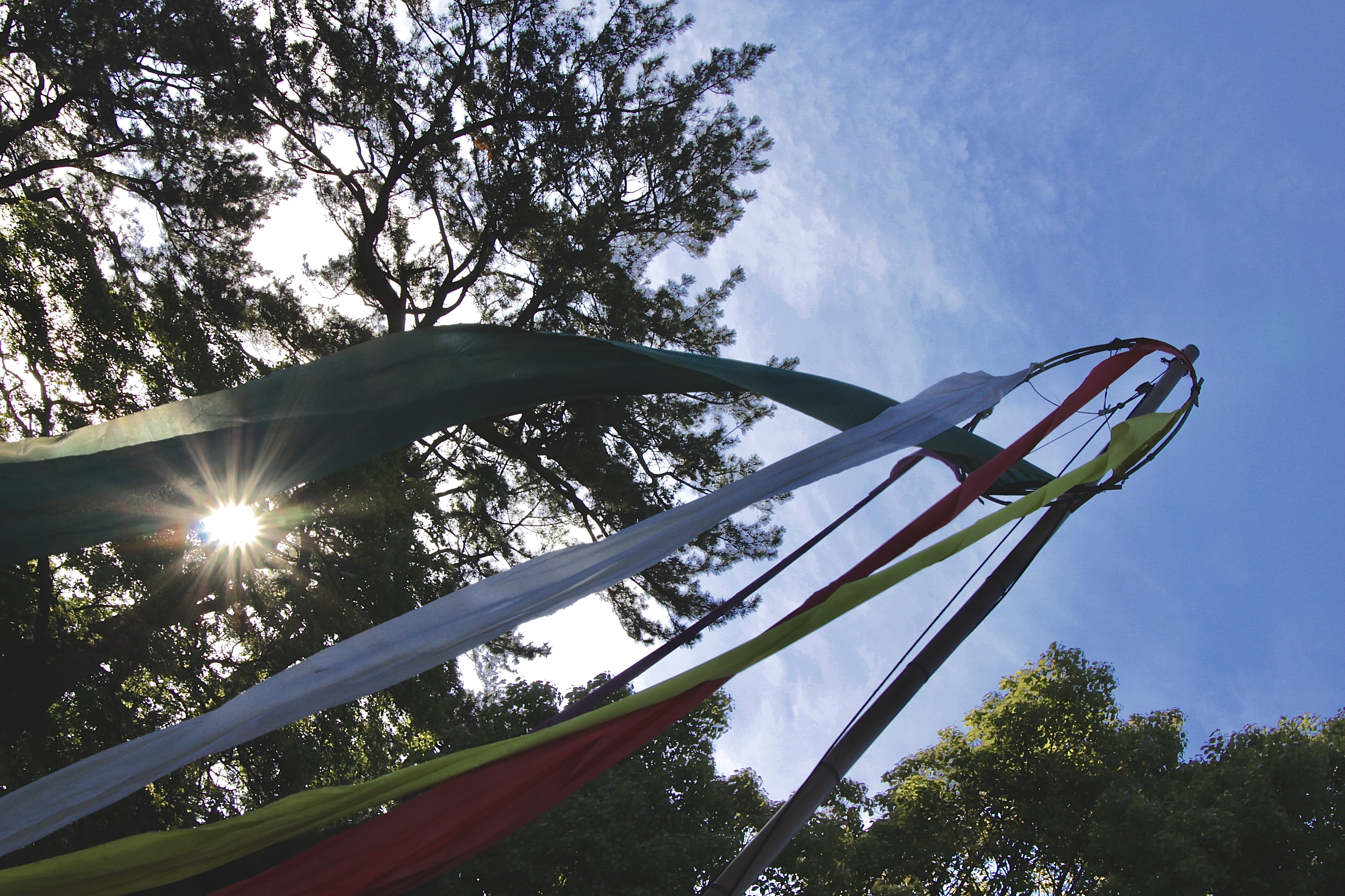 lens flare, day, sunbeam, matsuri, may, sakata, tree, pole, green color, sun, flag, sunlight, low angle view, no people, sky, patriotism, asia, outdoors, HD Wallpaper