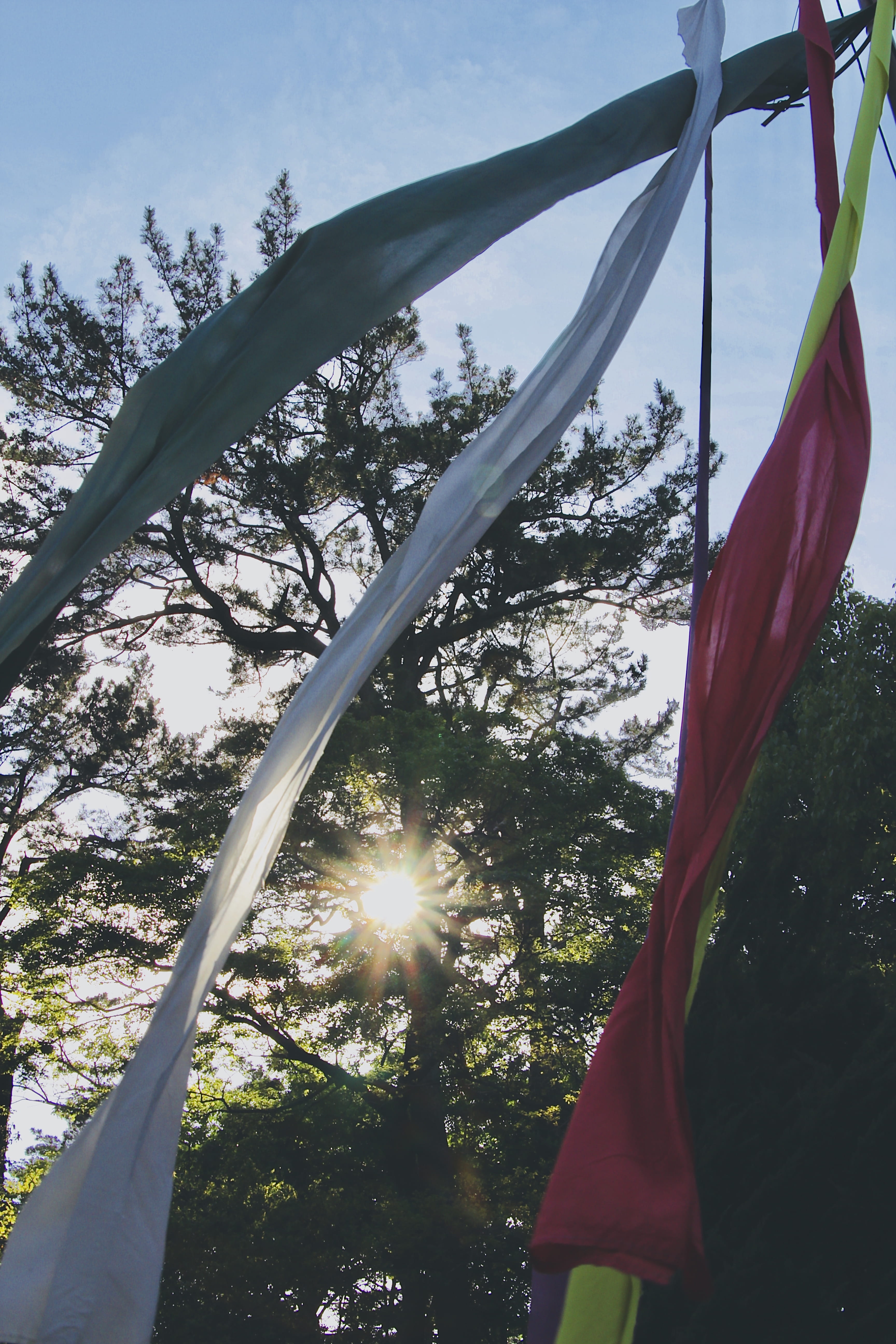 growth, plant, yamagata, independence, patriotism, red, flag, day, 5K, low angle view, asia, no people, pride, emotion, hanging, sunlight, april, spring, Phone HD Wallpaper