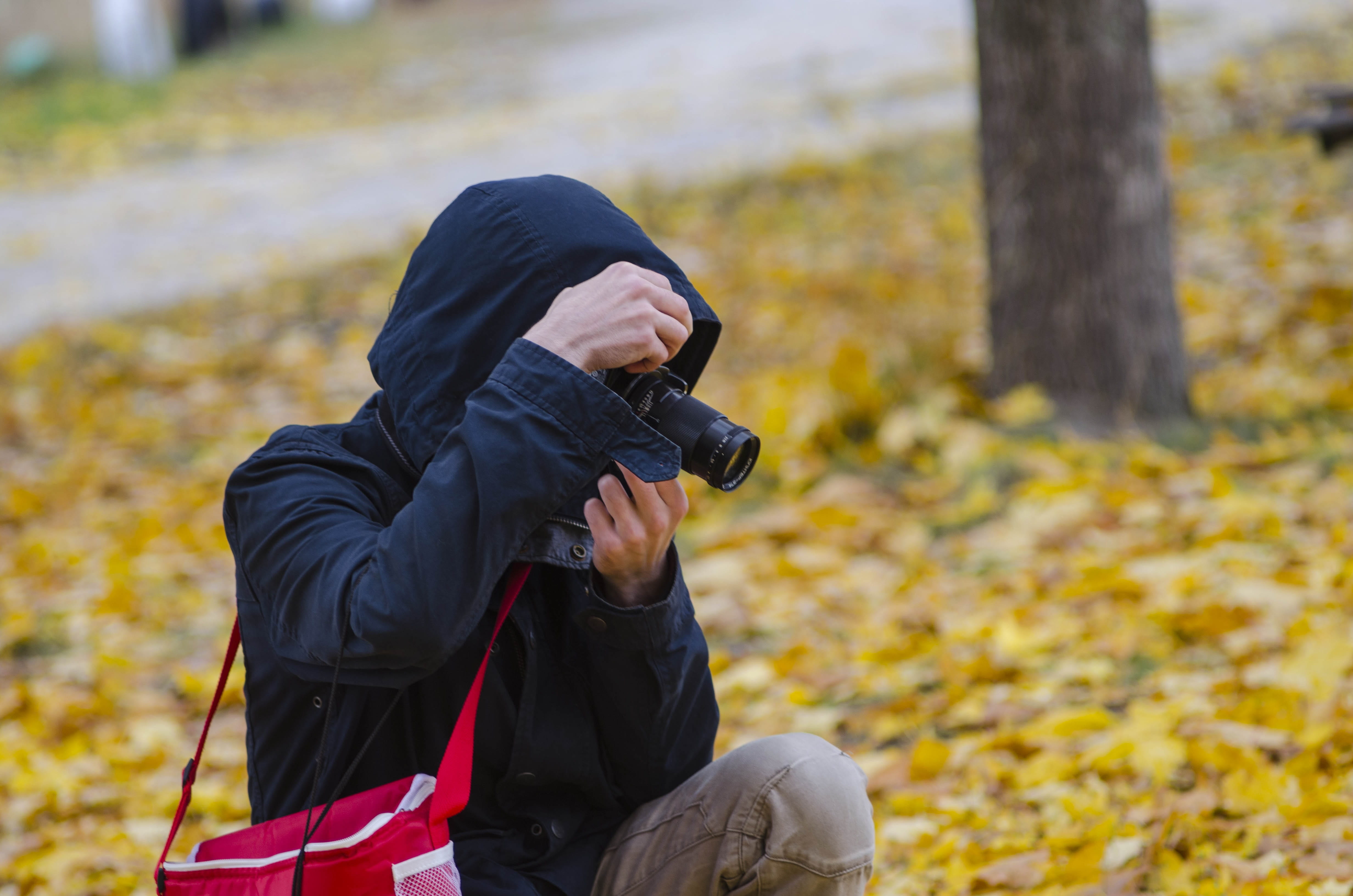 process, men, plant part, clothing, outdoors, day, foliage, real people, one person, listopad, plant, photographer, landscape, golden autumn, fallen foliage, HD Wallpaper