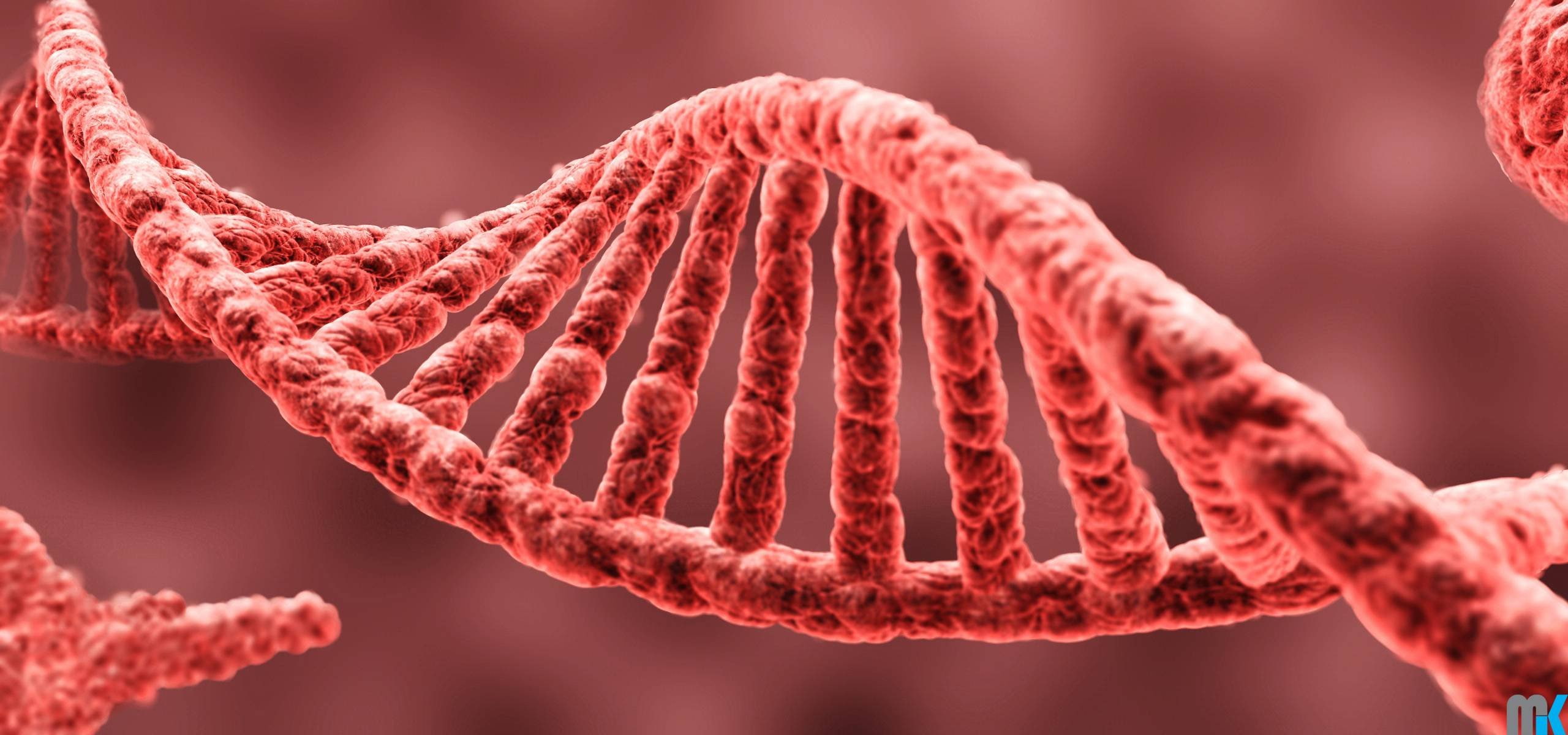 biology, 2K, ADN, close-up, connection, animal themes, no people, science, magnification, hair, nature, cadena, one animal, beauty in nature, abstracto, HD Wallpaper