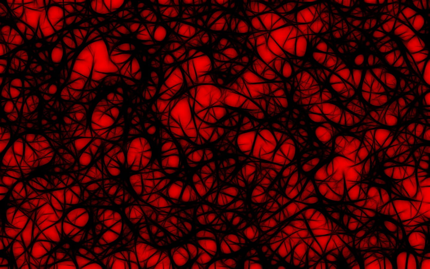 education, complexity, red, full frame, nature, lines, backgrounds, science, plant, magnification, technology, food and drink, abstract, pattern, no people, HD Wallpaper