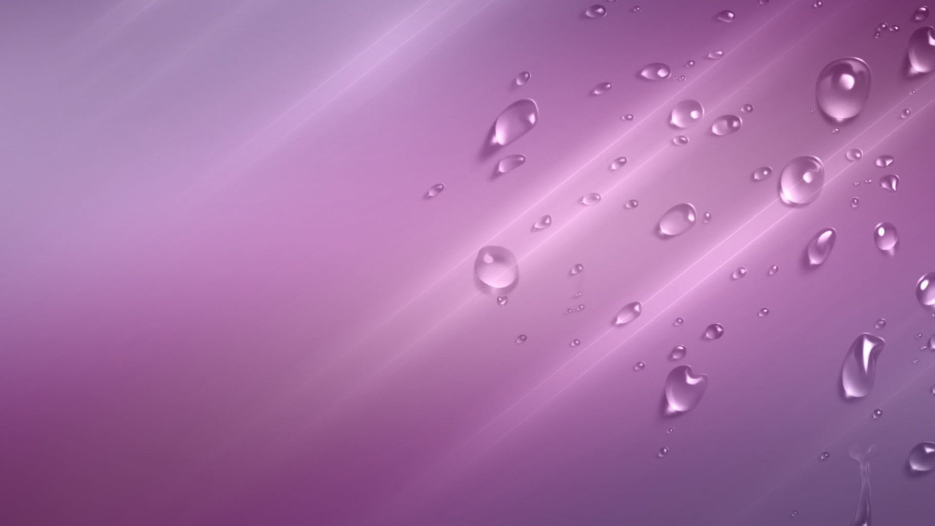 purple, abstract backgrounds, water drops, transparent, wet, magnification, bright, studio shot, no people, indoors, full frame, textured, drop, pink color, HD Wallpaper