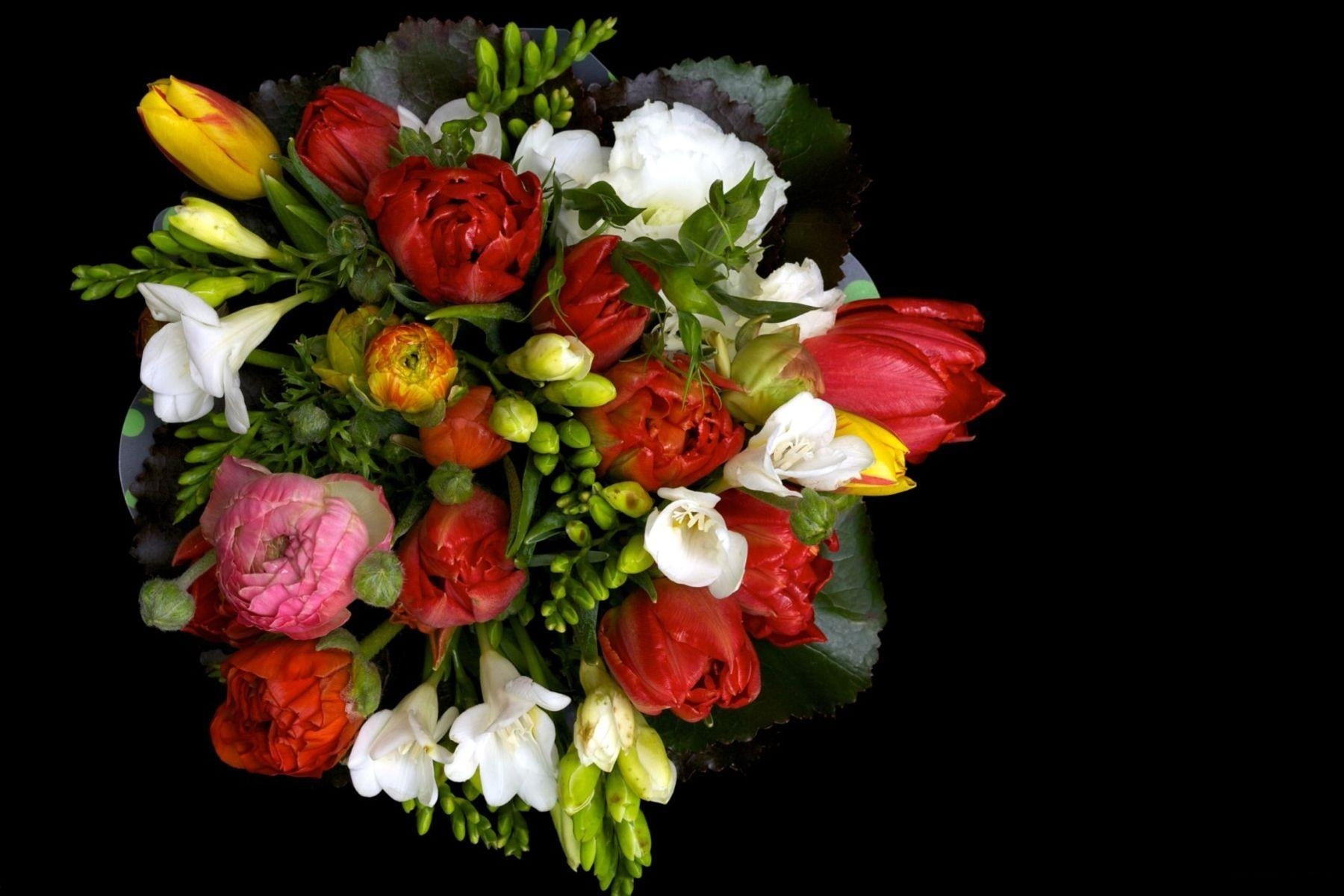 flowering plant, plant, multi colored, petal, no people, red, freshness, romance, white, flower, beauty In Nature, indoors, green Color, cut Flowers, arrangement, HD Wallpaper