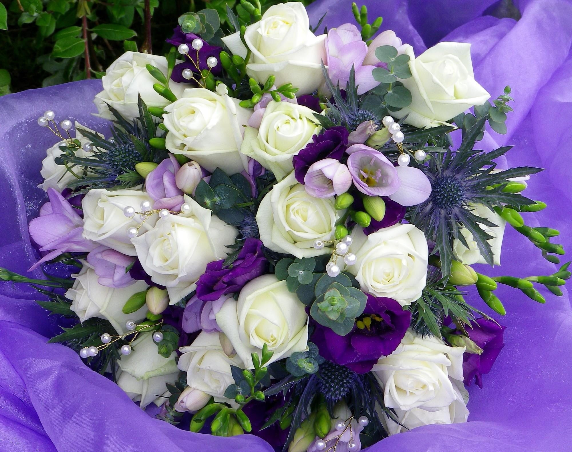 plant, romance, white, flower Head, married, elegance, leaf, flower, gift, arrangement, roses, beautiful, purple, summer, celebration, backgrounds, close-up, HD Wallpaper